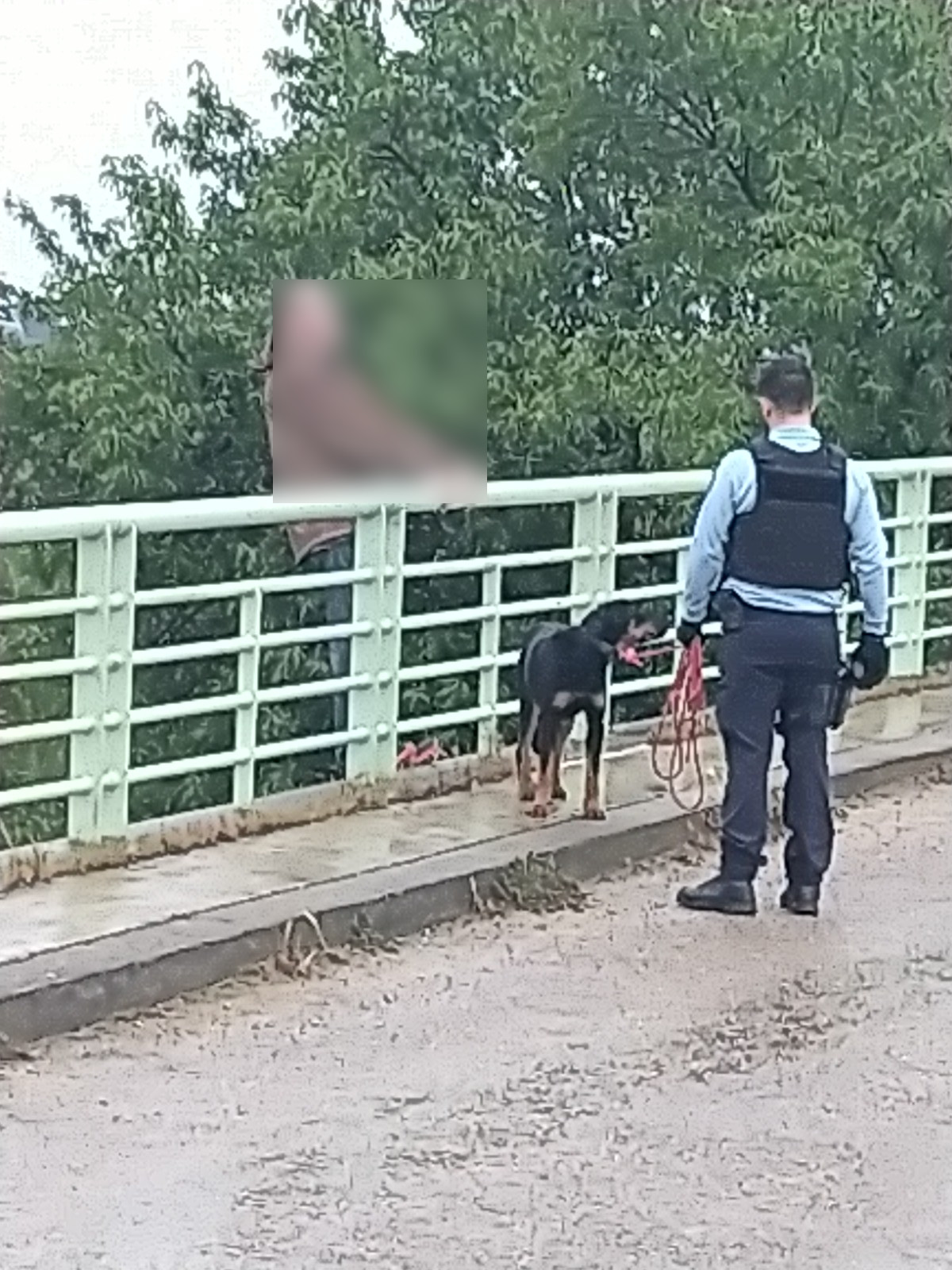 Par sa simple présence, la chienne Tina a permis de faire "retomber en pression" l'homme en souffrance émotionnelle qui menaçait de se jeter sur les voies de l'autoroute ce mardi. DR/Gendarmerie du Gard