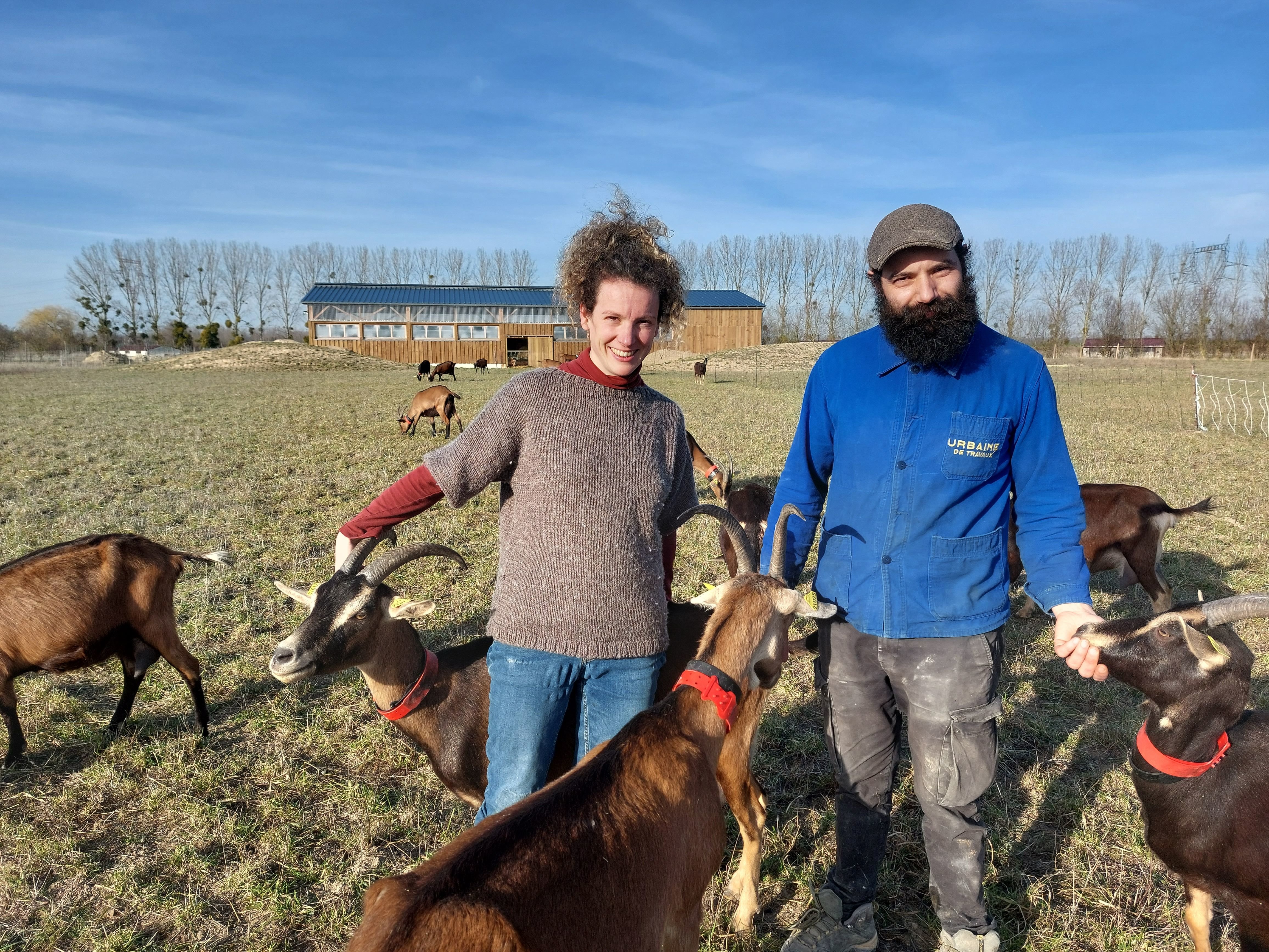 Grisy-sur-Seine, ce mardi. Céline Ranc, directrice d'hôpital à mi-temps, se forme durant quatre mois auprès d'Abdenour à la pépinière du Champ des Possibles, pour élever des chèvres et transformer leur lait en fromage. LP/F.Lé.