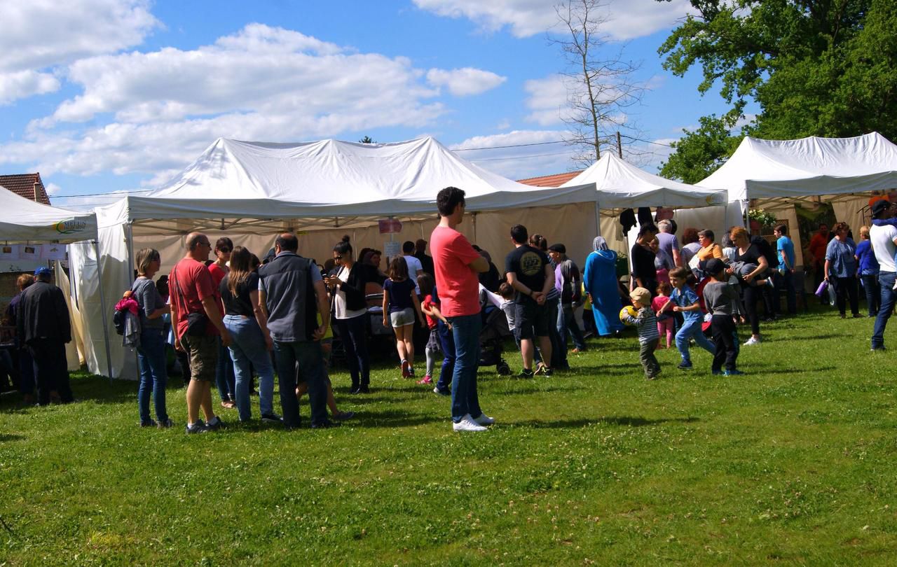 <b></b> Dammarie-les-Lys, 2017.  La manifestation est organisée comme d'habitude au parc du château Soubiran.