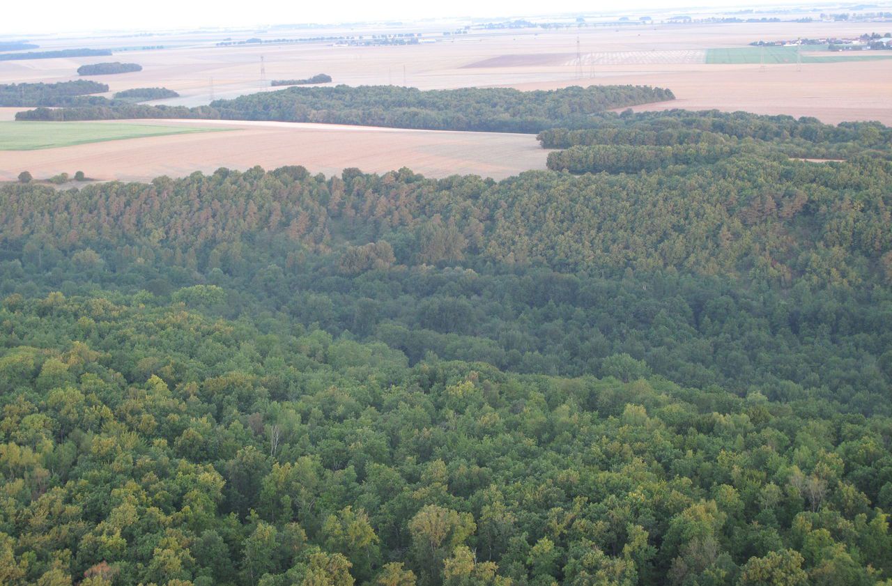 <b></b> Le président de l’Essonne souhaite créer une ou plusieurs forêts linéaires dans le département, qui feraient office de corridor écologique.