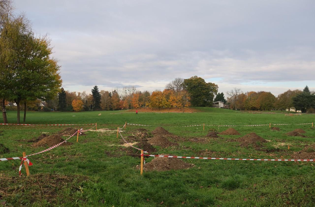 <b></b> Mennecy, ce jeudi. Les trous destinés à accueillir les arbres fruitiers du futur verger de la Verville ont été creusés ces derniers jours. 