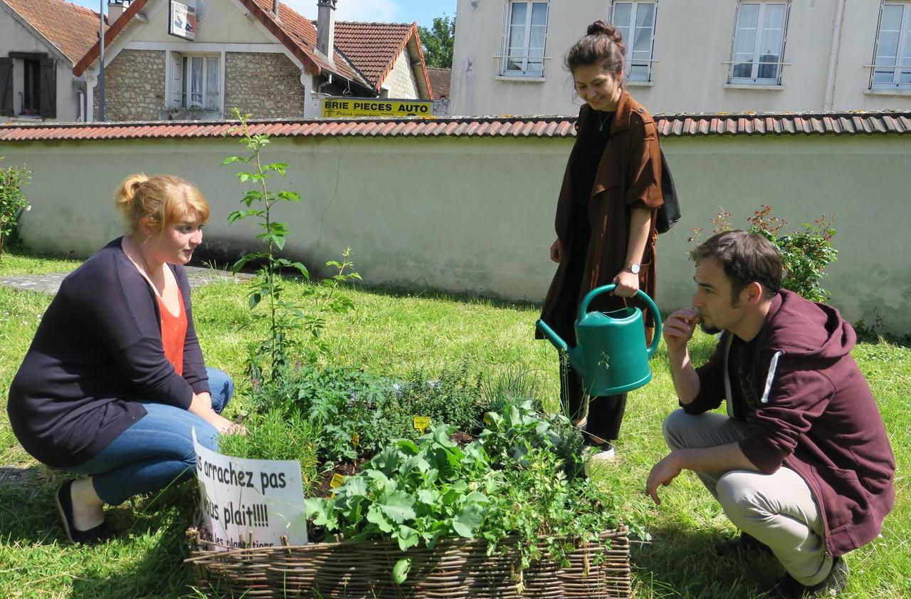 <b></b> Brie, le 29 mai. Trois petits jardins partagés ont été créés devant la médiathèque, le Potomak et l’Hôtel-Dieu. Ici, Gizem Kosen (au centre), jeune étudiante volontaire, a participé à leur conception avec Solène Durand, la directrice du PIJ et Kévin Verstraëte, le directeur de la médiathèque.