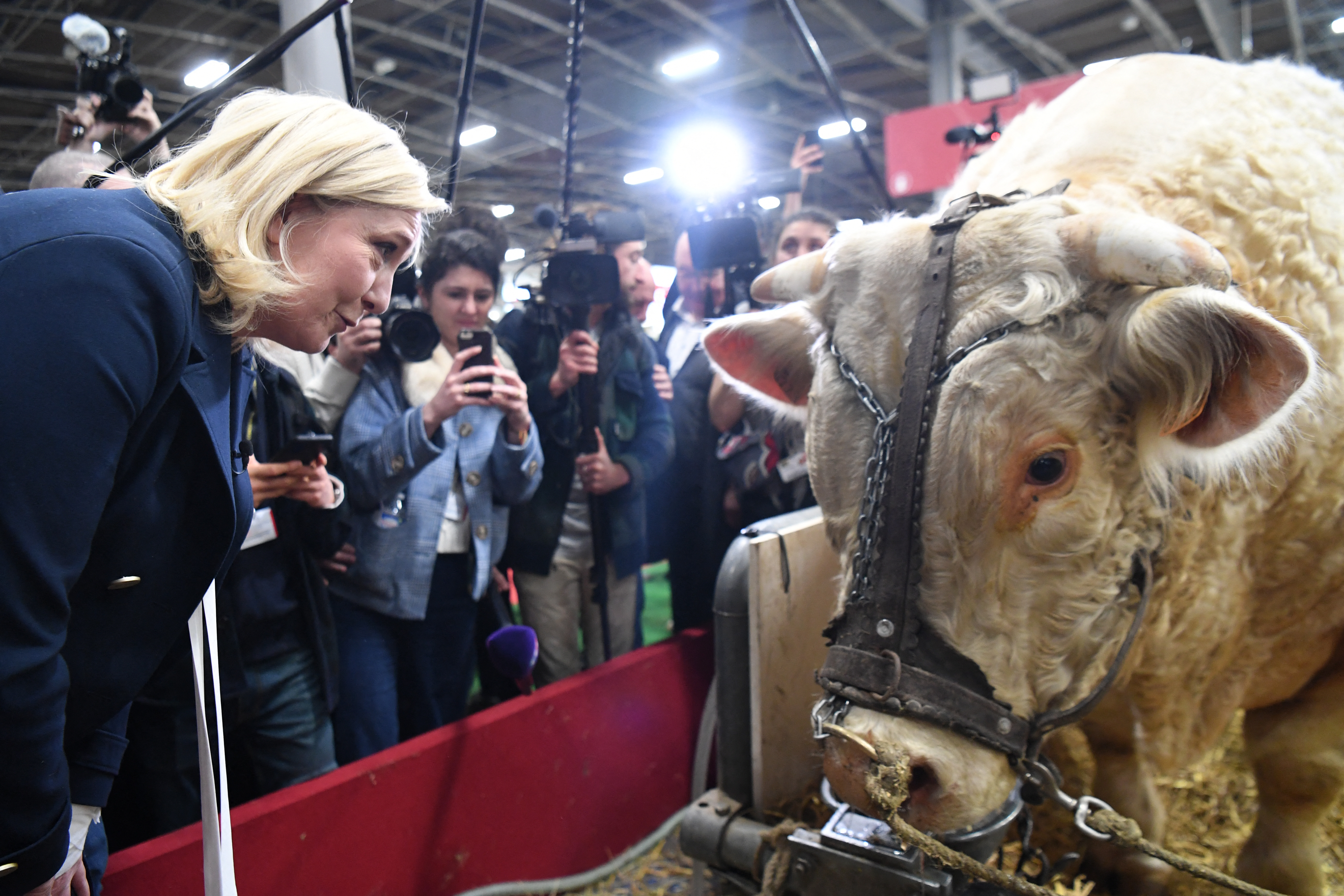 Marine Le Pen, ici au Salon de l'agriculture en 2022, laissera ce week-end Jordan Bardella ouvrir le bal des visites du RN à la plus grande ferme de France. AFP/Bertrand Guay