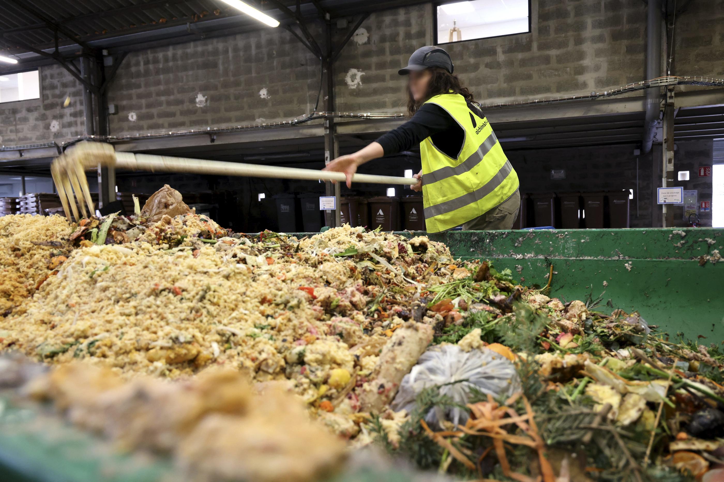 Activateur de compost : boostez le processus de décomposition ! - Le  Parisien
