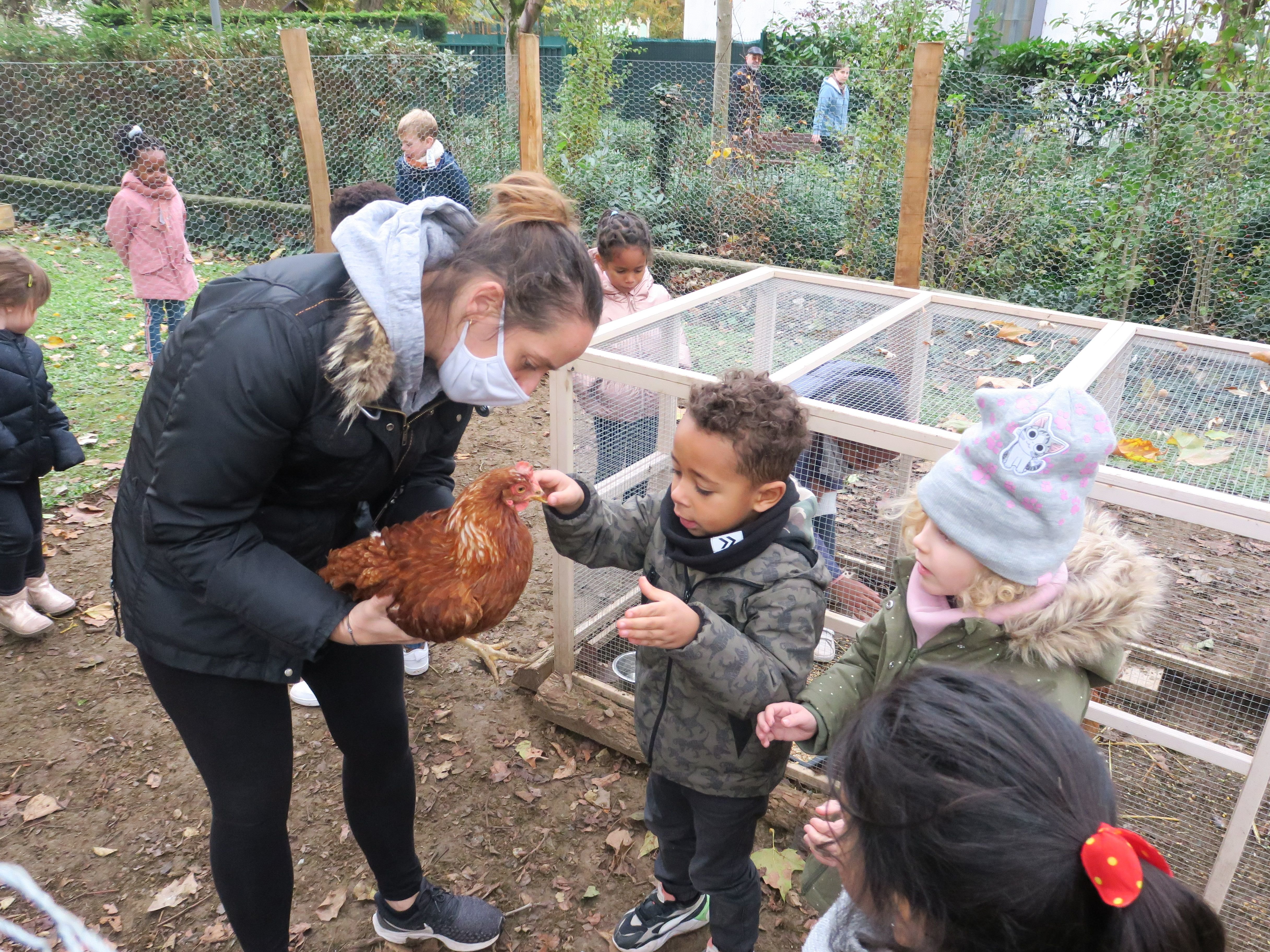 Maisons-Alfort. A l'école maternelle Alphonse-Daudet, les enfants ont immédiatement adoré s'occuper des poules. LP/Laure Parny