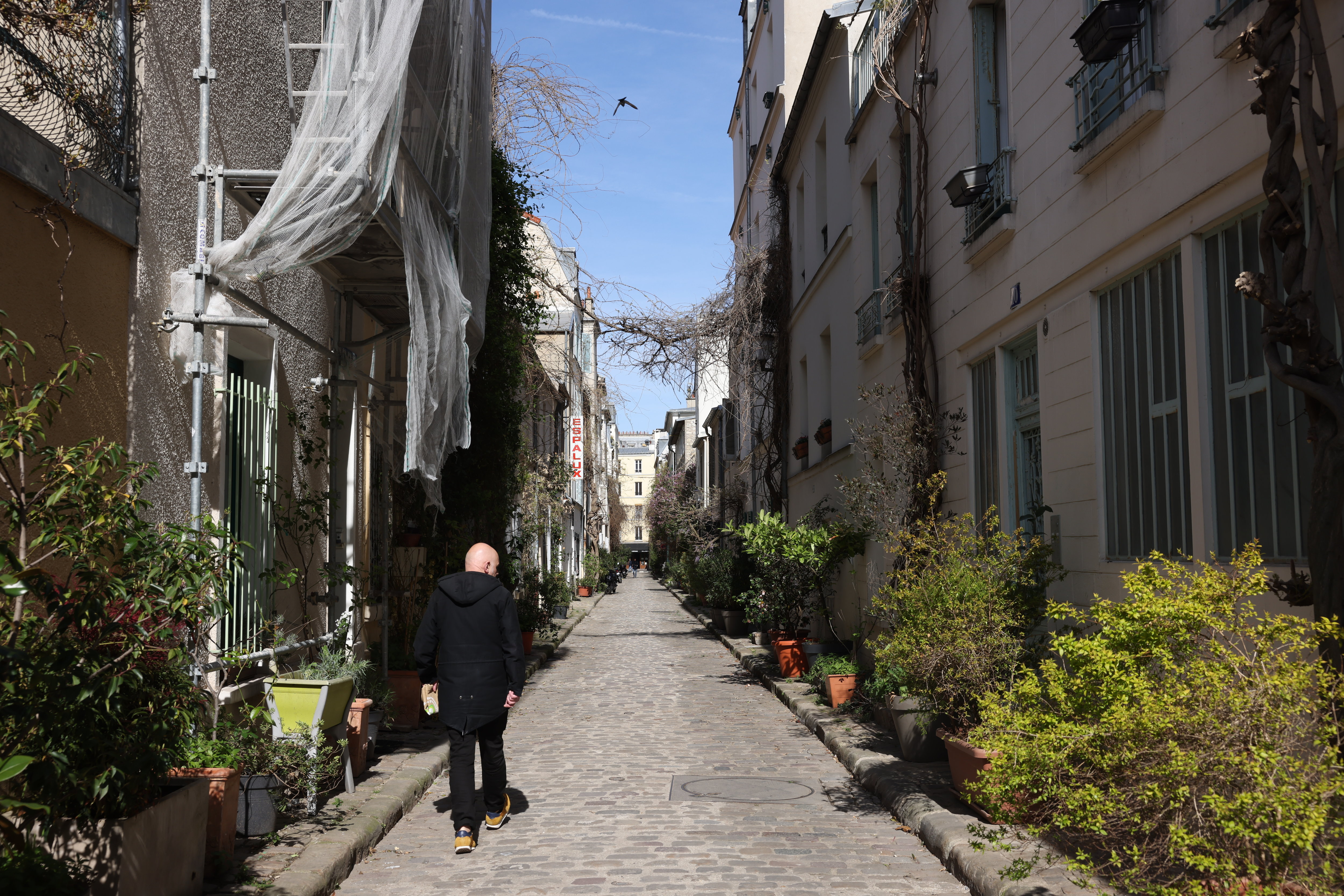La rue des Thermopyles, dans le XIVe arrondissement, se distingue notamment par les plantes en pot qui trônent devant les immeubles. C'est une voie privée ouverte au public. LP/Olivier Lejeune
