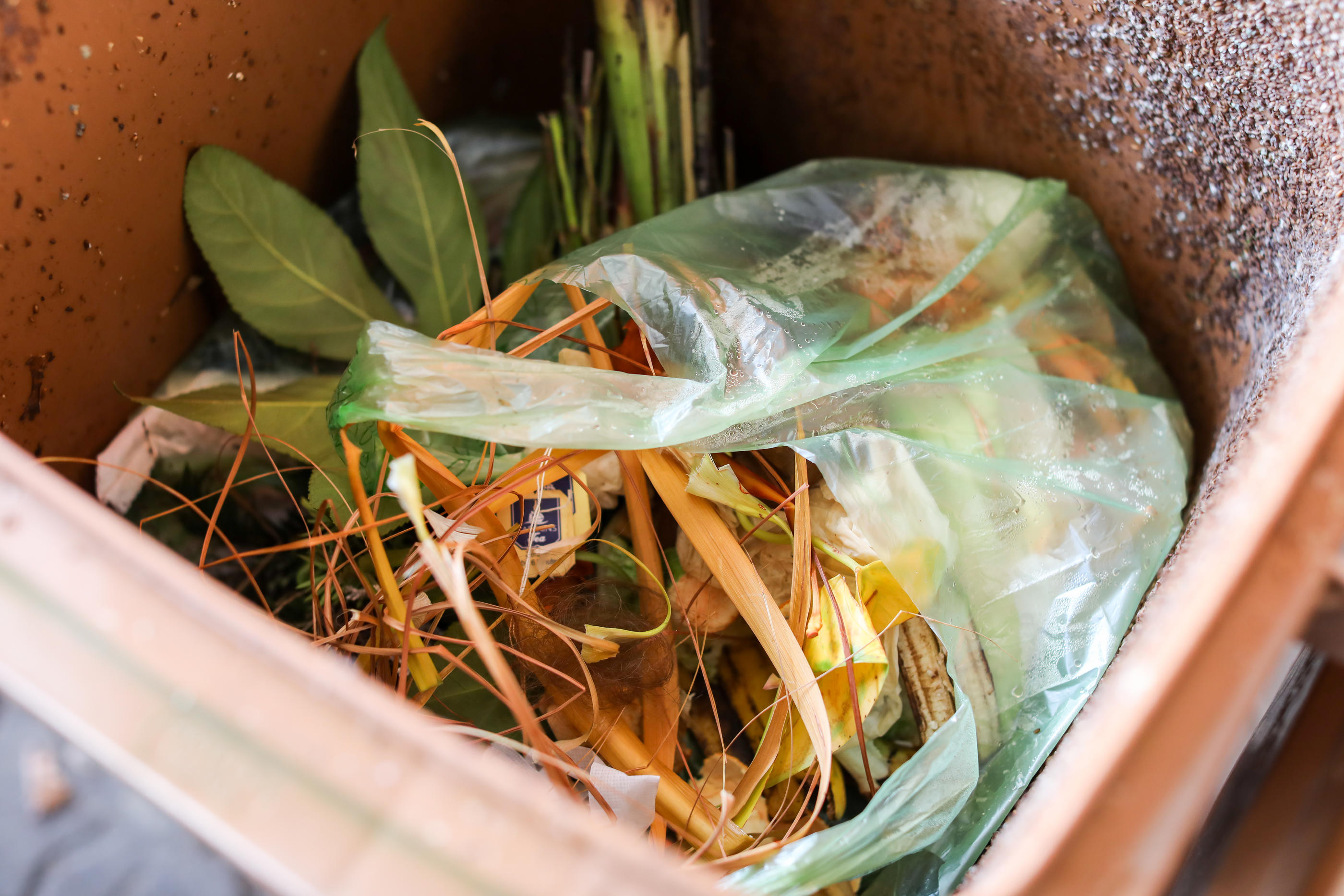 Biosak - Sacs biodégradables à compostage pour la cuisine, Paquet de 125
