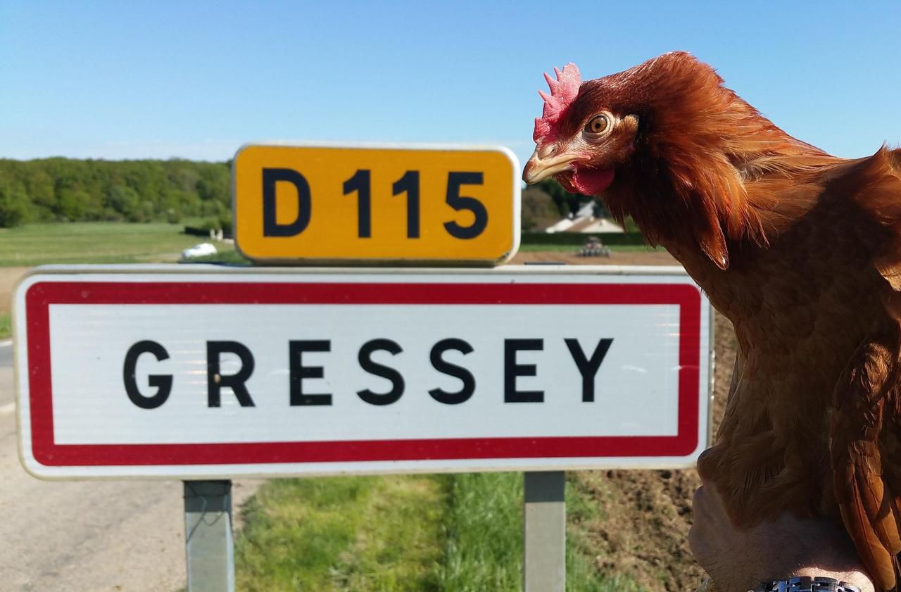 Des recours en justice ont été déposés contre l’installation d’une ferme de 40 000 poules pondeuses à Gressey (Yvelines), un village frontalier de l’Eure-et-Loir. LP/M.G.