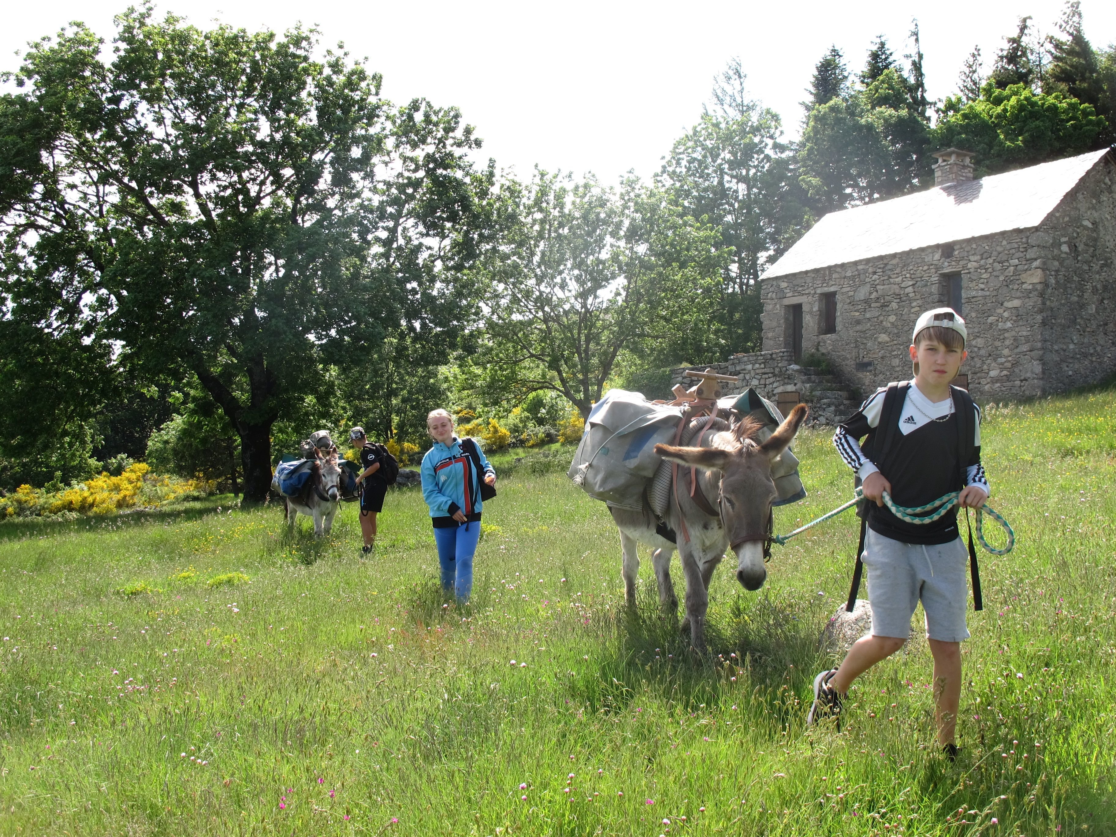 Douze collégiens, en 5e et 4e, ont randonné quatre jours dans les Cévennes avec des ânes et sans téléphone portable. DR