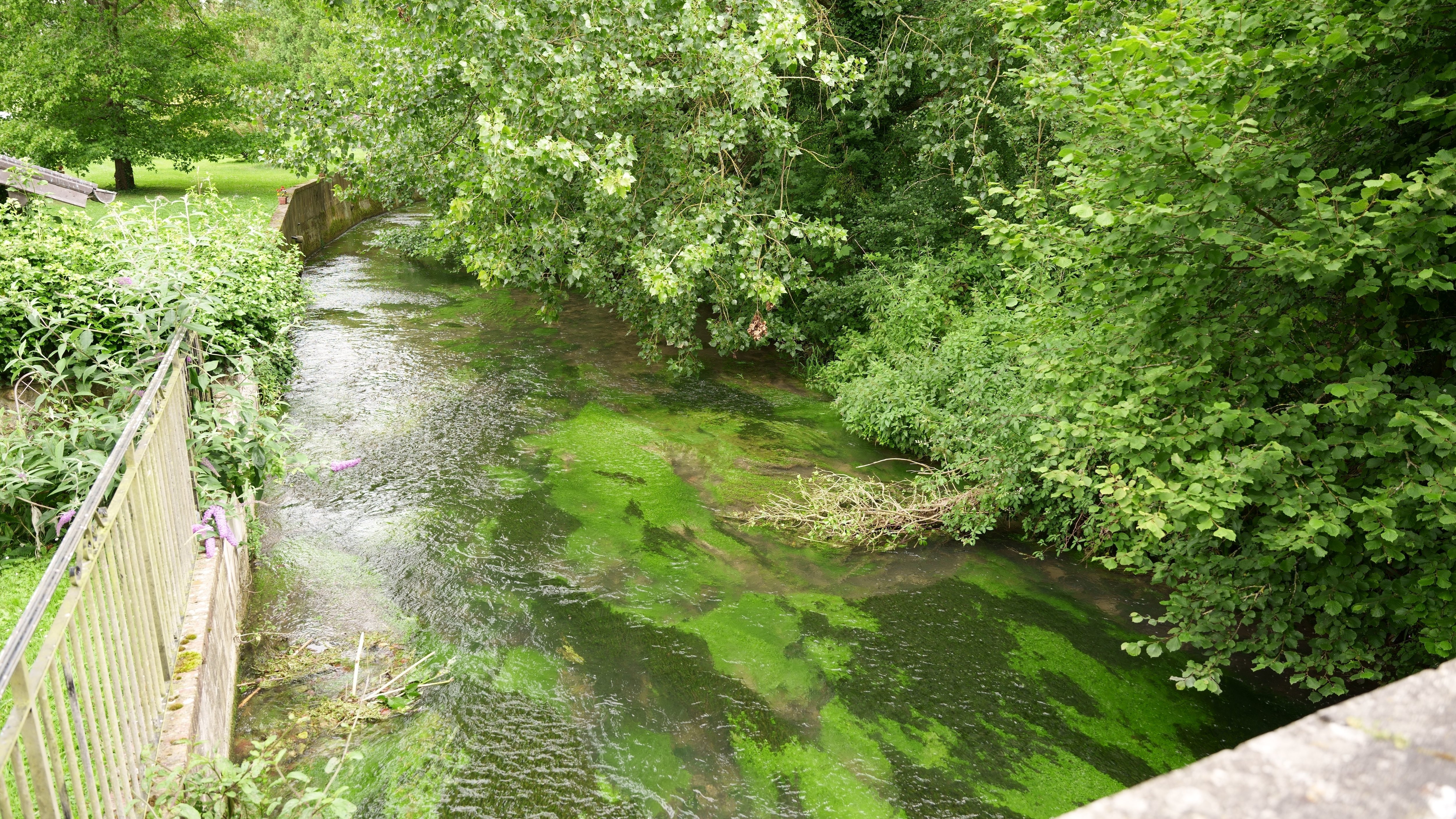 Après deux années de faibles débits, les nappes phréatiques et les rivières de l'Eure ont retrouvé des niveaux favorables voire hauts. LP/Julie Guesdon