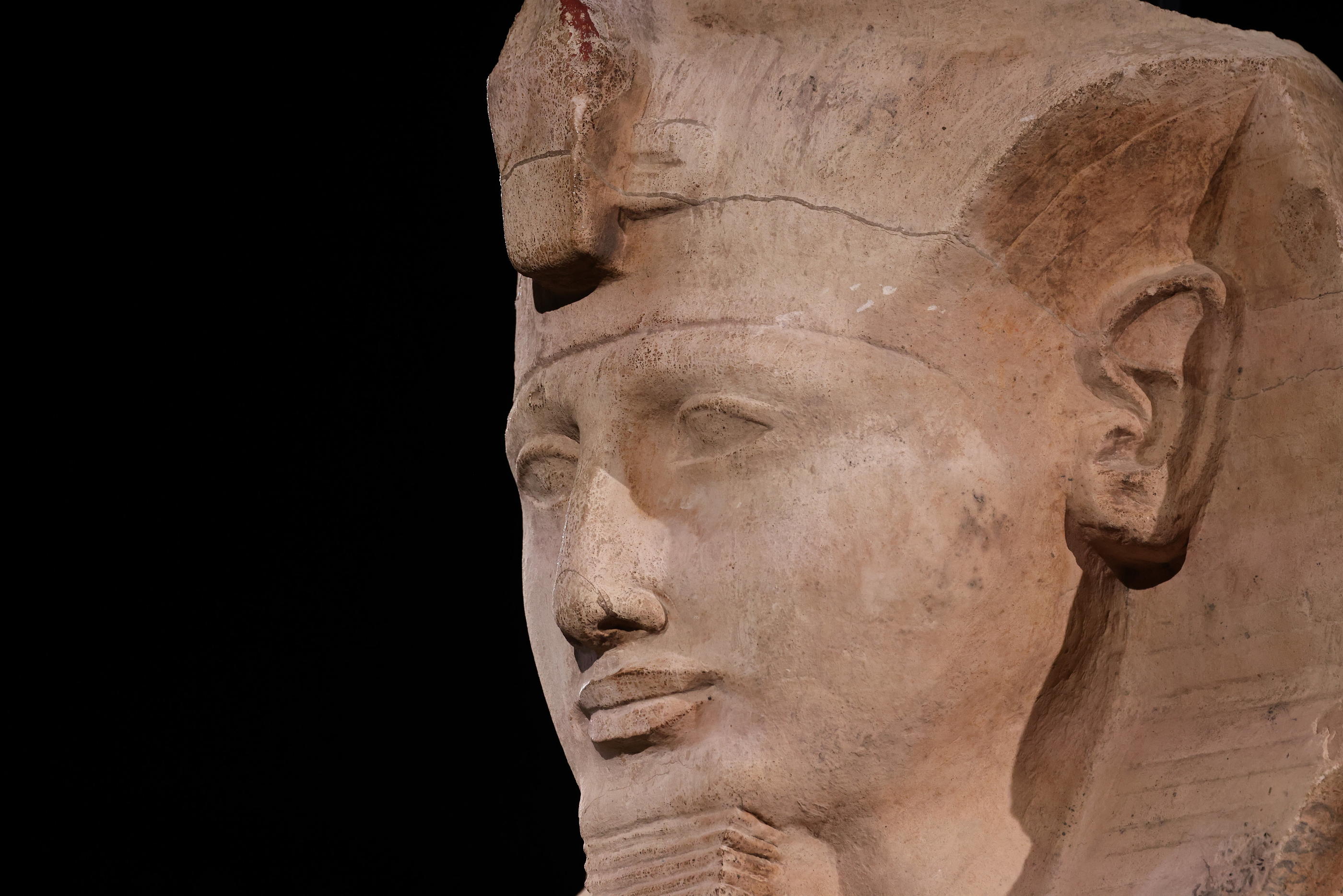 Le colosse de calcaire de Ramsès II, 2m de haut pour 750kg, est exposé pour la première fois en dehors d'Égypte. LP/Olivier Arandel