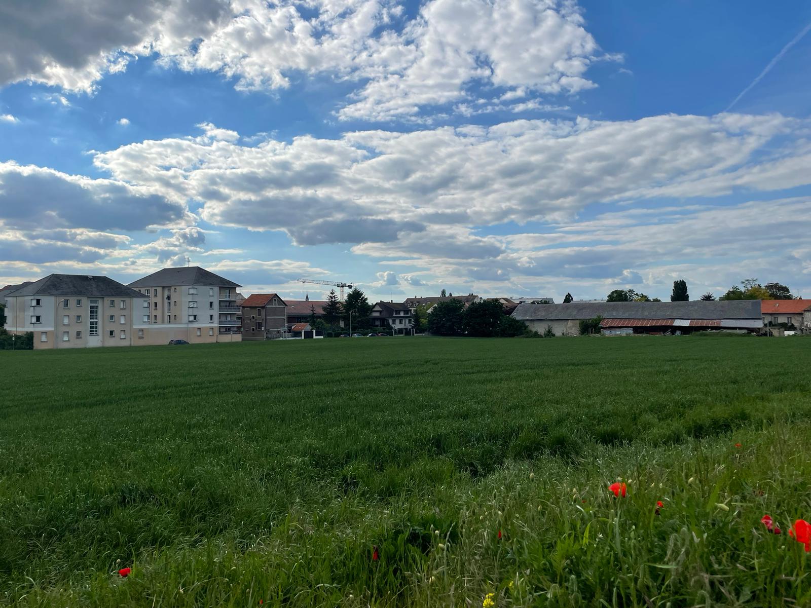 Villeparisis (Seine-et-Marne), jeudi. L'emplacement envisagé pour construire le futur lycée est la ferme Legrand et le vaste terrain situé derrière celle-ci. LP/Timothée Talbi