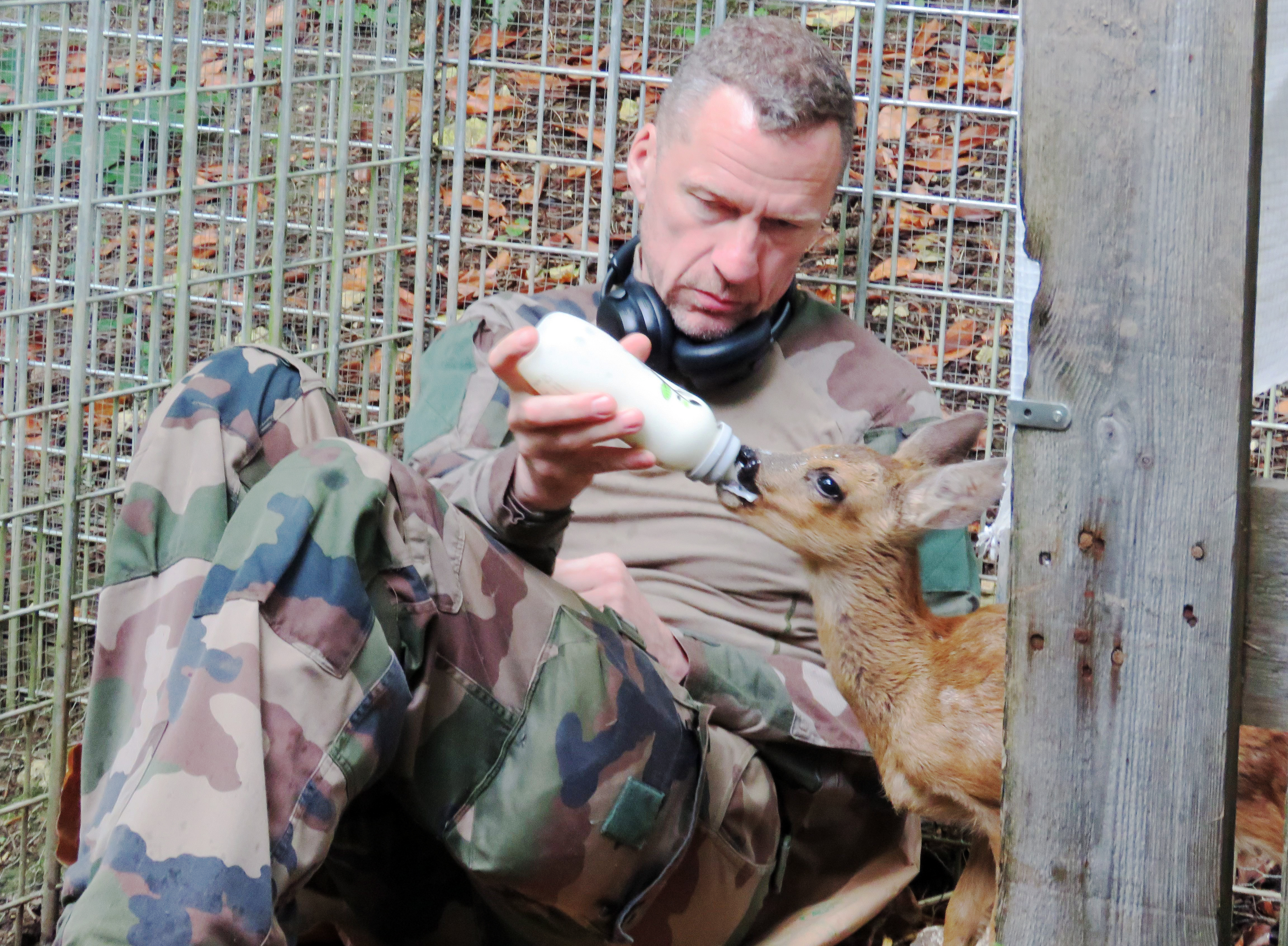 Boissy-Fresnoy (Oise), le 12 juillet. Christophe Rousseau, le président de Picardie Faune Sauvage, est délégué au nourrissage des petits faons. LP/Stéphanie Forestier