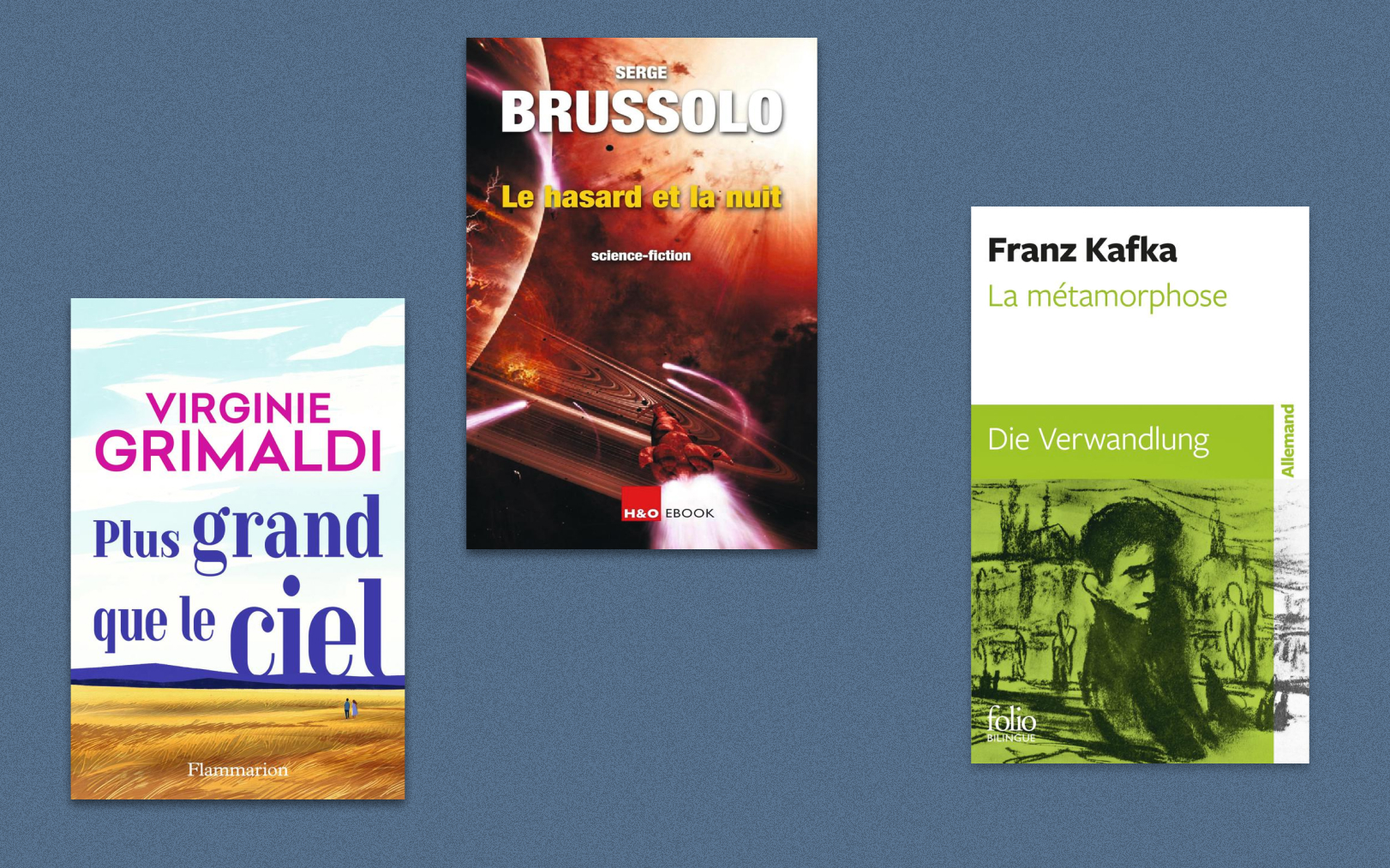 «Plus grand que le ciel», de Virginie Grimaldi, «Le Hasard et la Nuit», de Serge Brussolo, «La Métamorphose», le chef-d’œuvre de Franz Kafka en version bilingue... Notre sélection livres de la semaine. Le Parisien-DA/SP