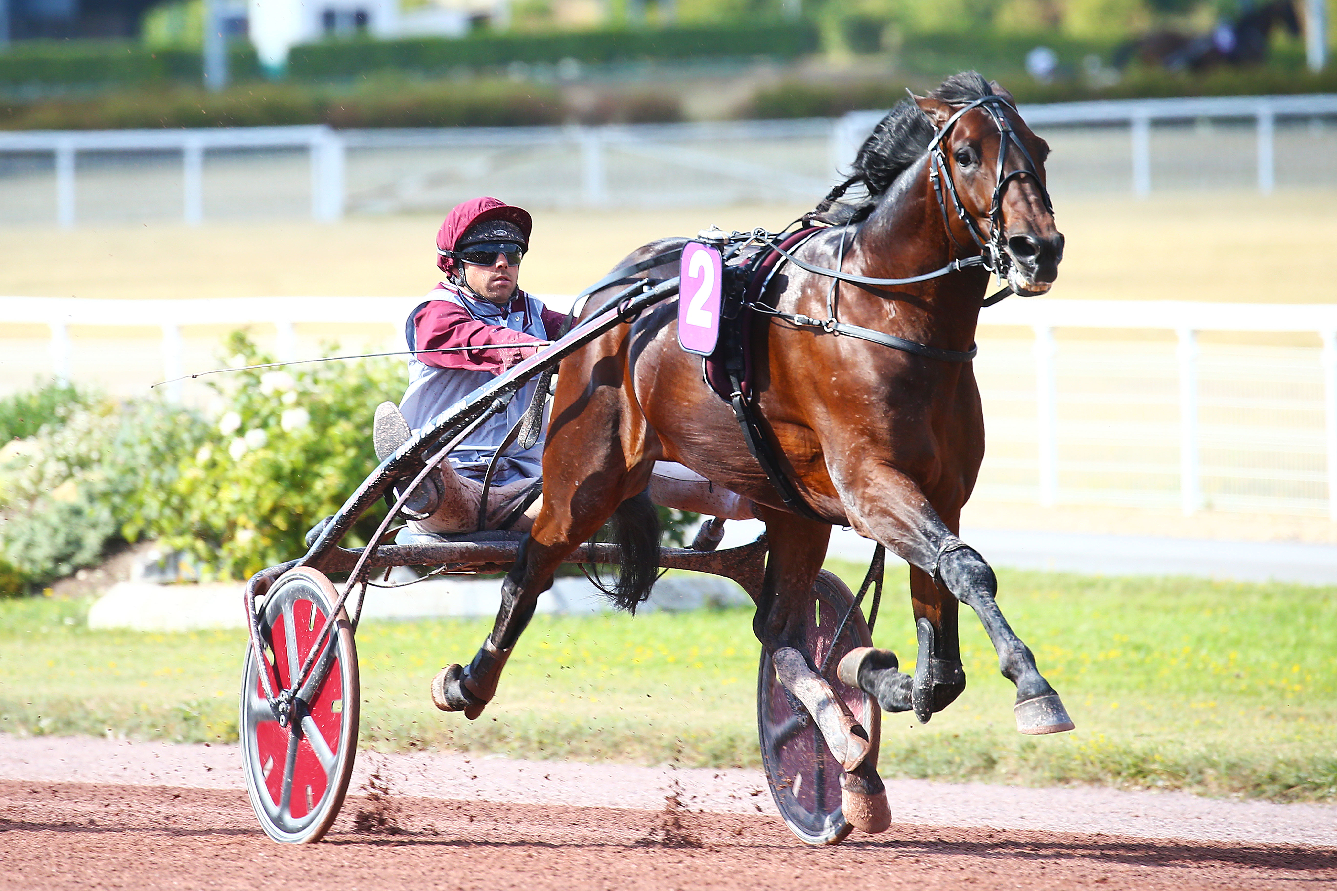 Hohneck - François Lagadeuc, ticket gagnant ! - Le Parisien