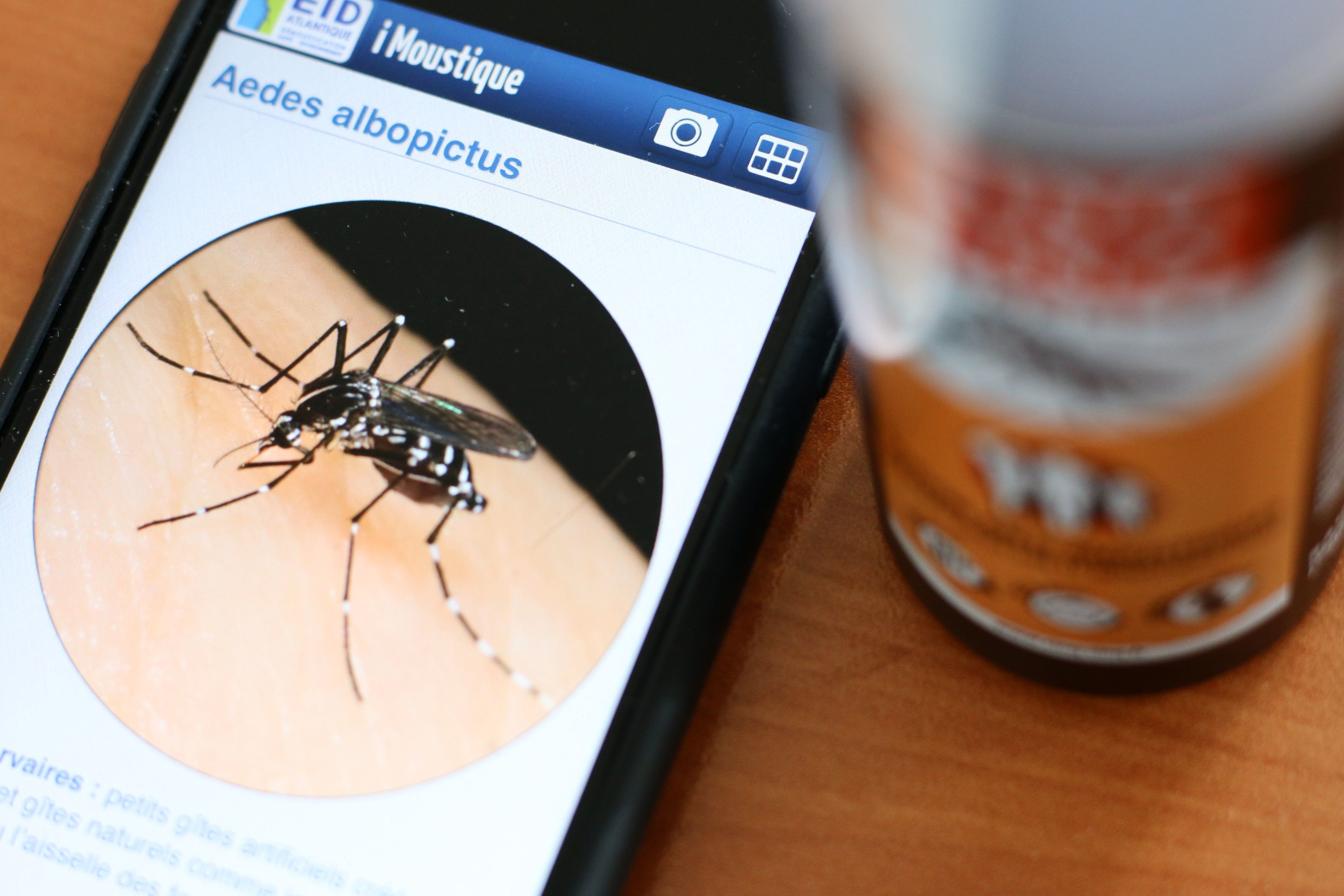 Des applications smartphones pour se protéger des moustiques