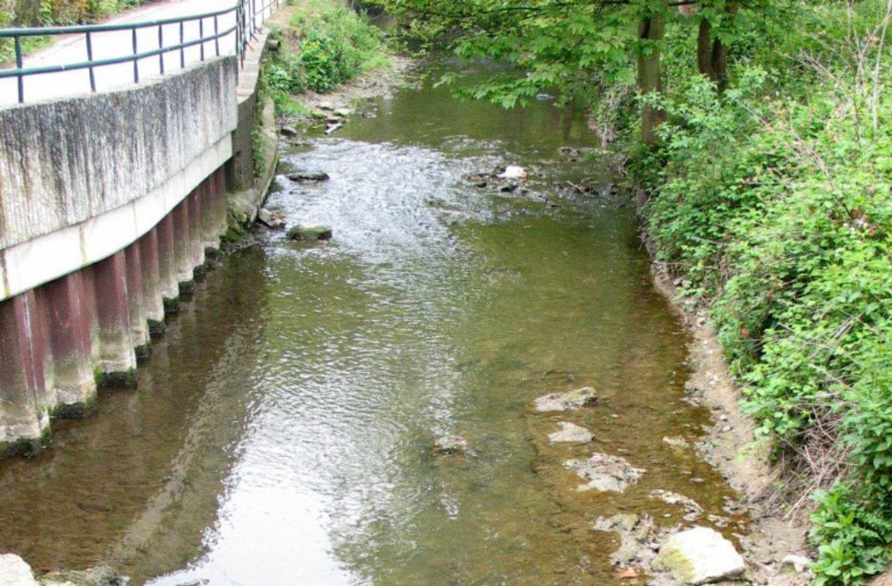 <b></b> Illustration. La rivière de la Vaucouleurs traverse la région mantaise pour se jeter dans la Seine. 