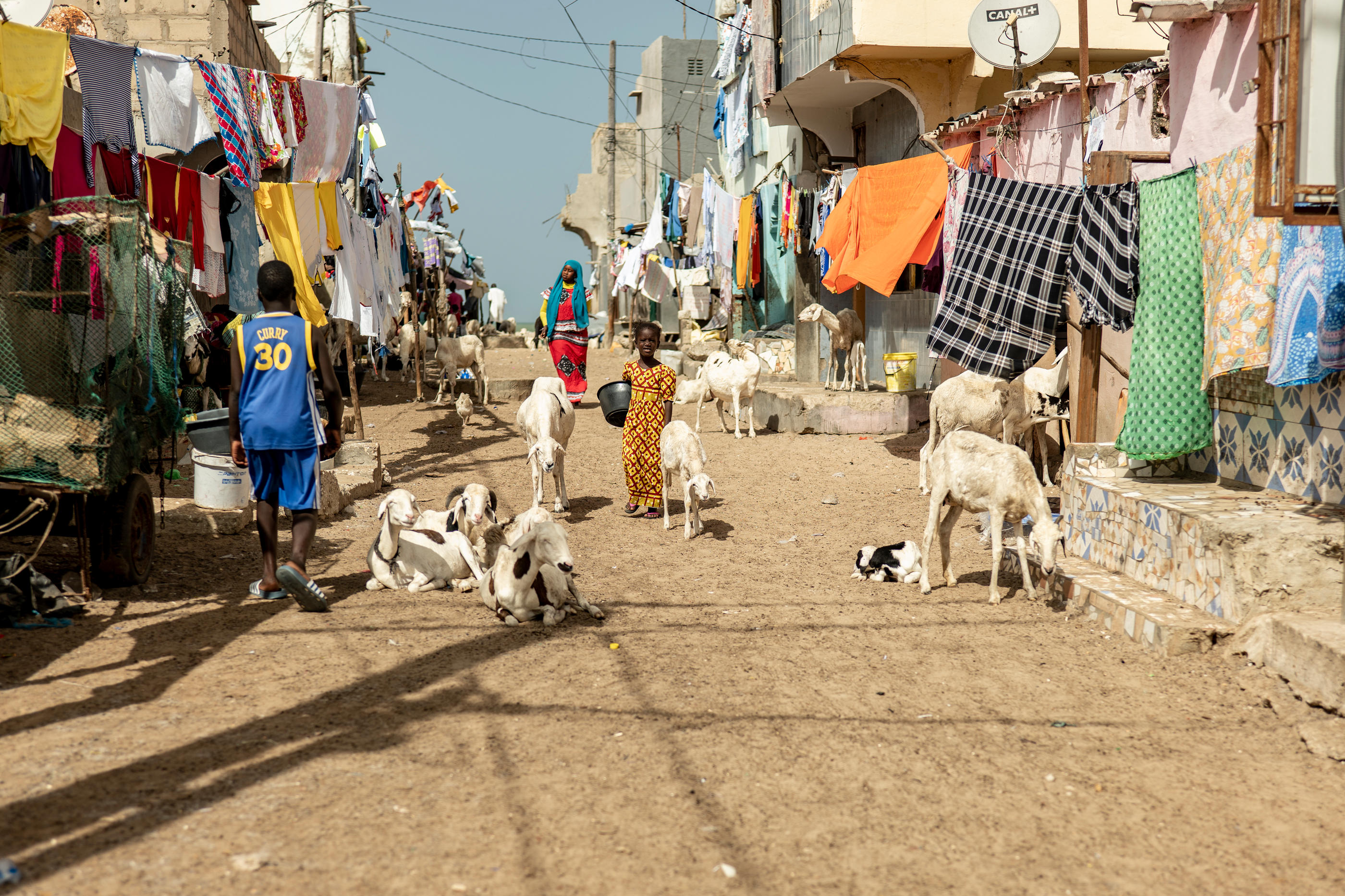 Rever De S accrocher Pour Ne Pas Tomber Avec les sinistrés du climat au Sénégal : «Notre rêve, c'est de rester ici  pour exploiter nos terres» - Le Parisien