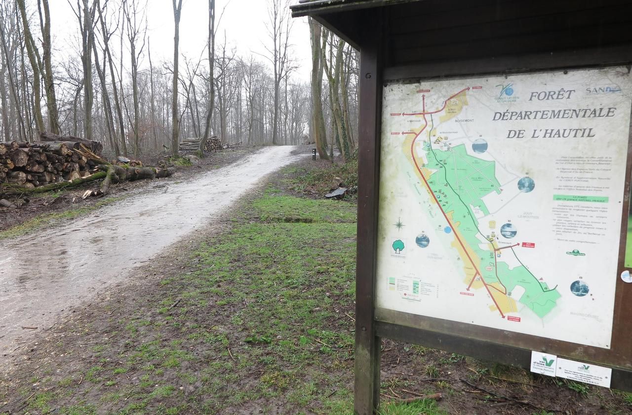 <b></b> La forêt de l'Hautil, qui s’étend dur 1250 ha et est composée à 38 % de châtaigniers, va devoir lutter à son tour contre la maladie de l'encre.