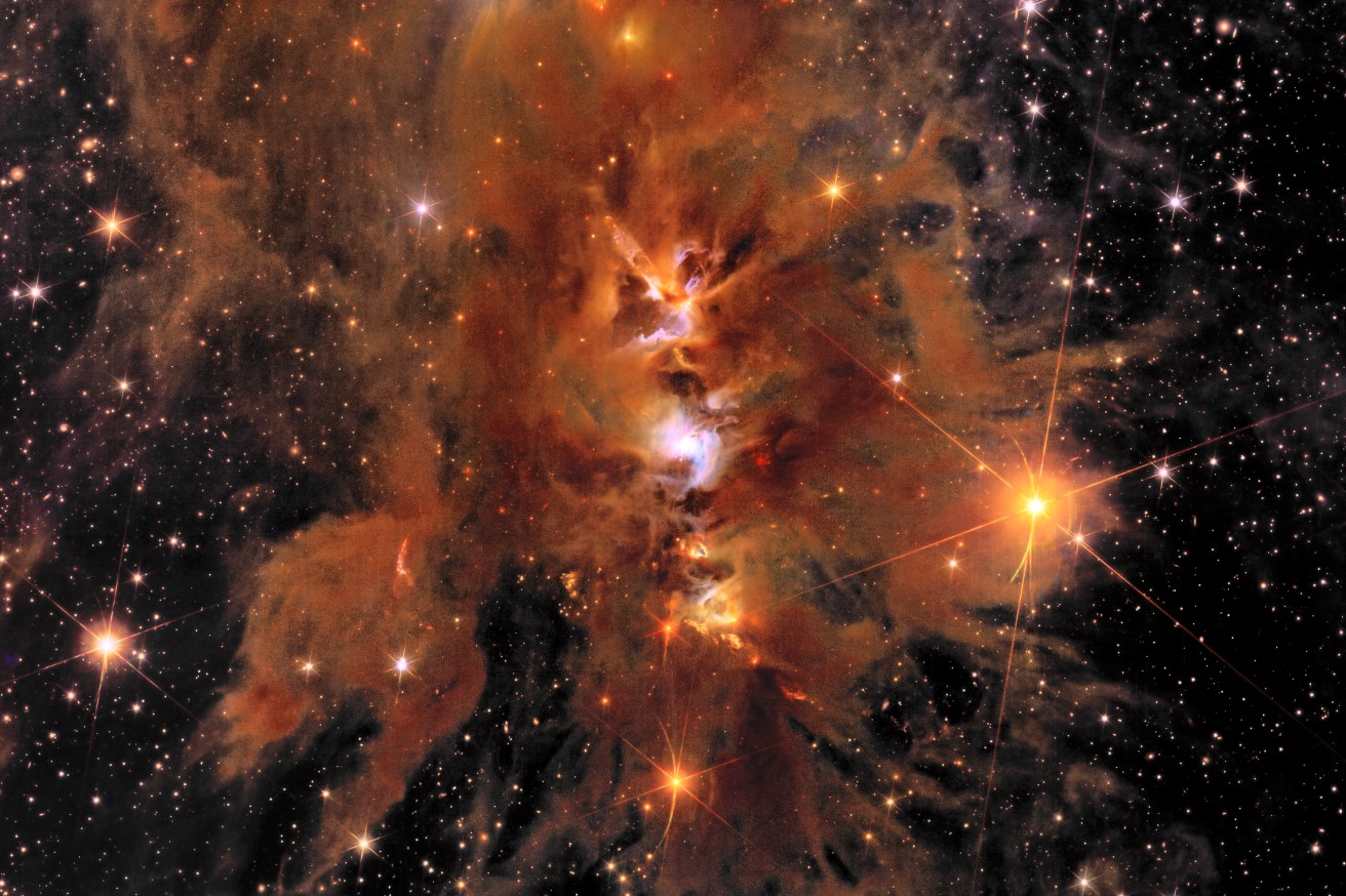 Détail de la vue de la nébuleuse Messier 78 par Euclid. ESA/Euclid/Euclid Consortium/NASA, image processing by J.-C. Cuillandre (CEA Paris-Saclay), G. Anselmi; CC BY-SA 3.0 IGO or ESA Standard Licence