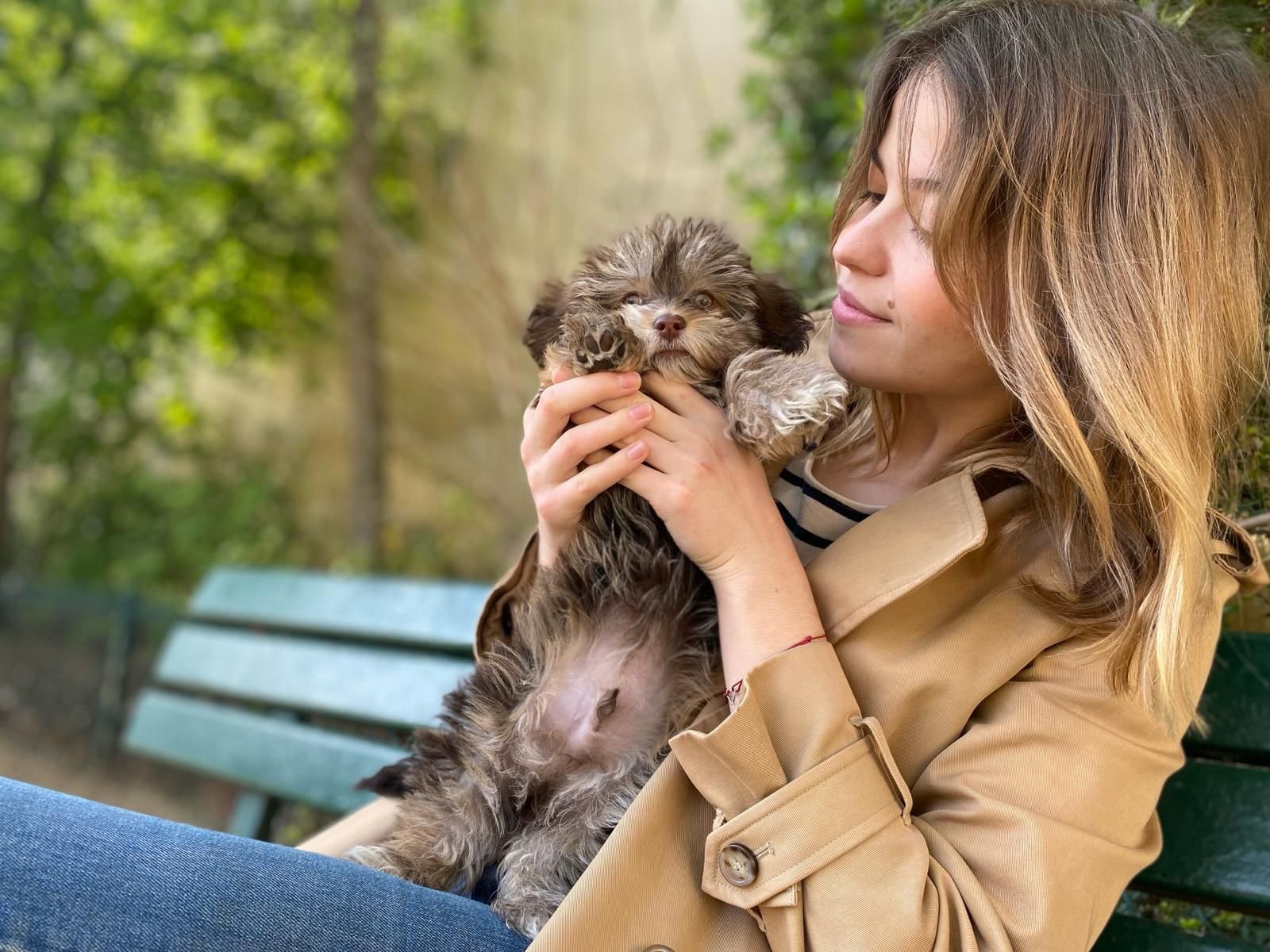 Après avoir été victime d'une arnaque en ligne lors de l'achat d'un chiot, Ambre s'est consolée en rencontrant Marcel, un bichon maltais pour lequel elle a eu le coup de foudre dans un élevage qu'elle connaissait. LP/Mathilde Debarre