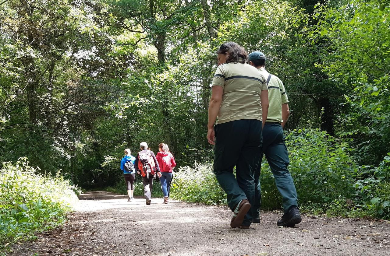 <b></b> Buc. Les agents de l’ONF sont obligés de faire preuve de « beaucoup de pédagogie » auprès des usagers de la forêt.