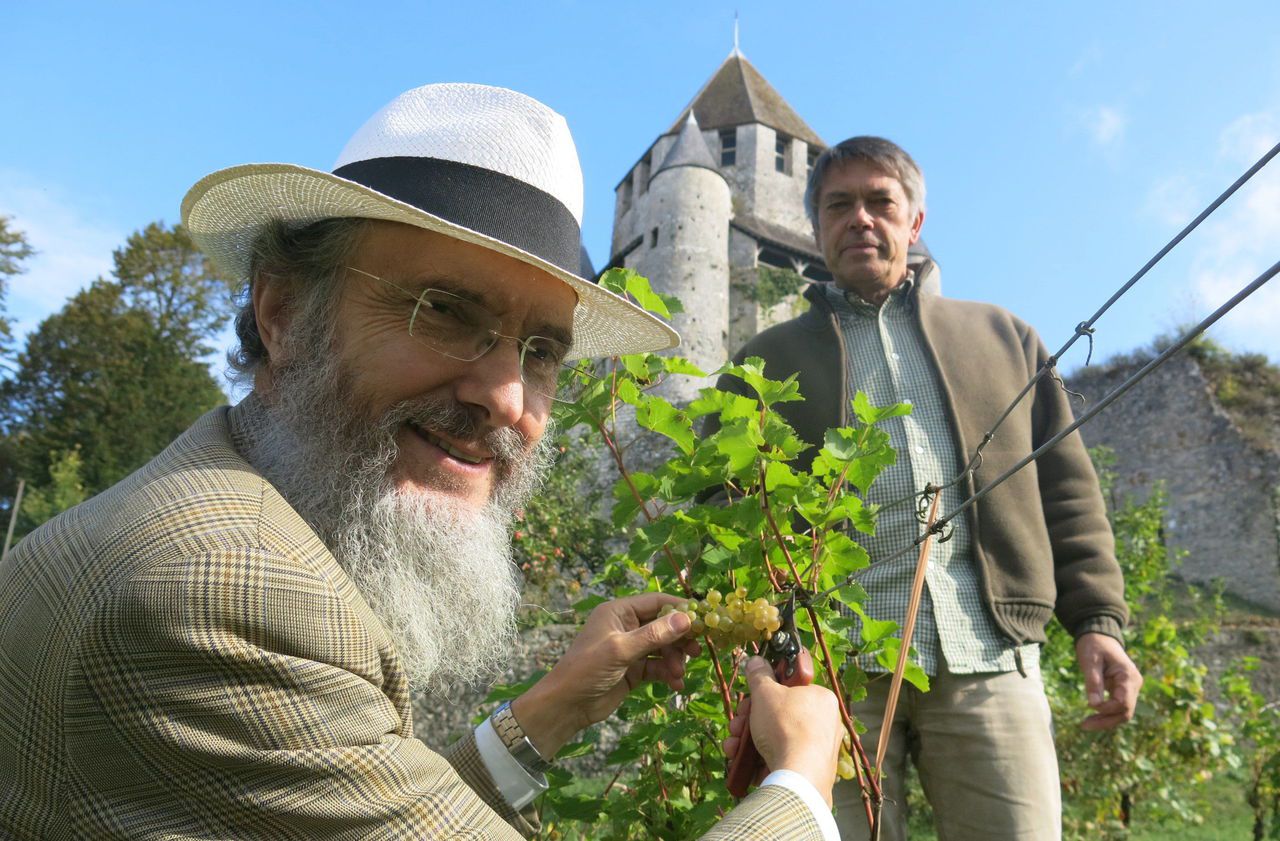 Patrice Bersac (à gauche) veut continuer à aider le vignoble francilien à se développer, mais « avec le moins de pesticides possibles, pour aller vers le bio ». (Archive) LP