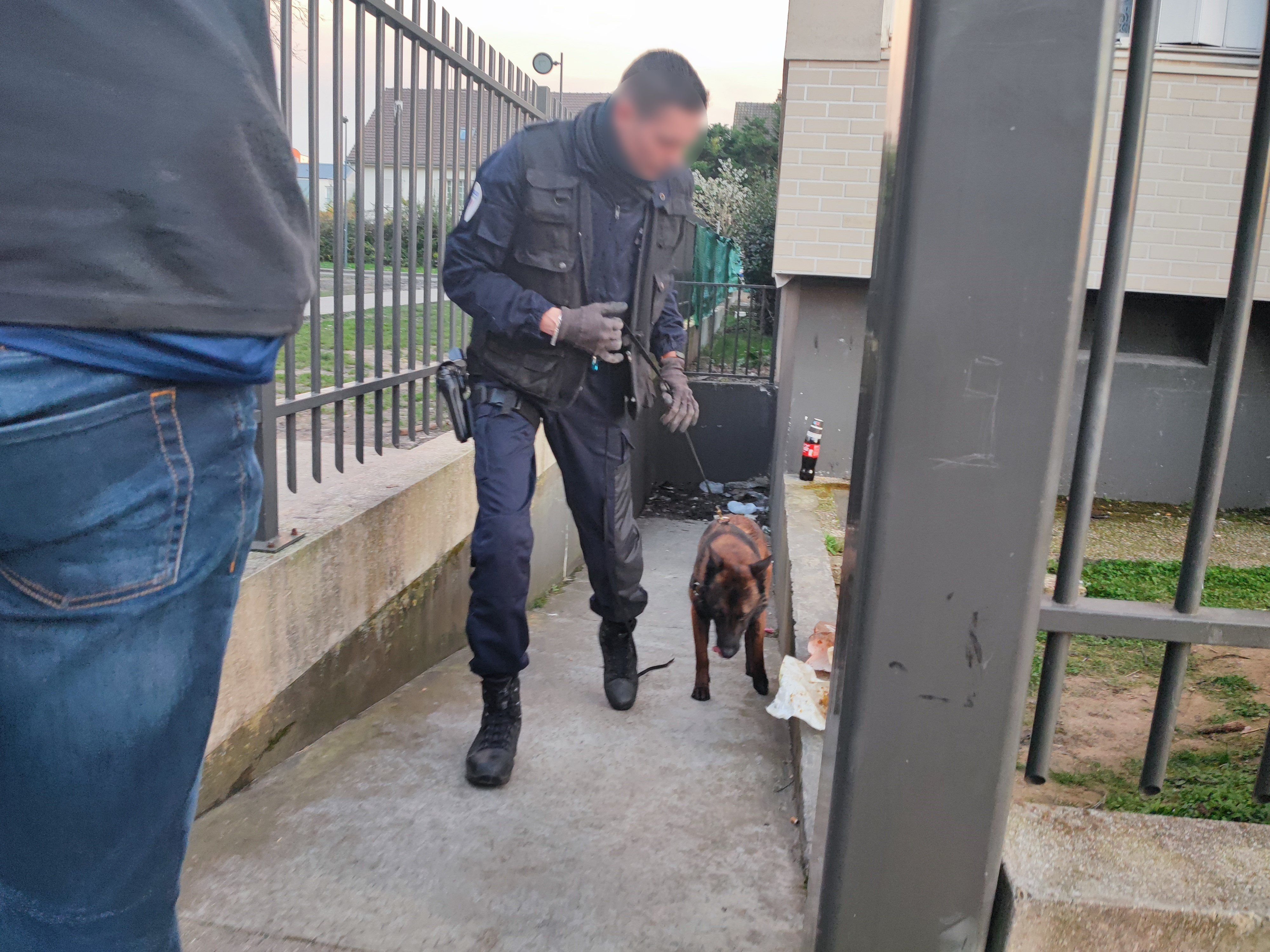 Compiègne, ce jeudi. Max, le chien policier, a permis de mettre la main sur plusieurs pochons de stupéfiants. LP/S.F.