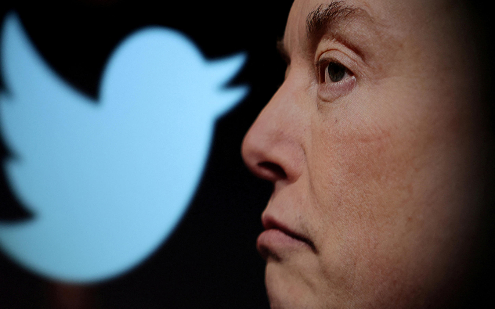 Elon Musk a décidé de la suspension de plusieurs comptes sur Twitter ces derniers jours. Reuters/Dado Ruvic/Illustration