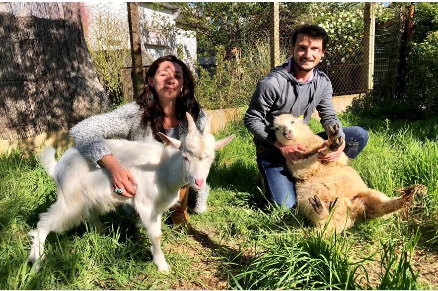 Aurélie et Mickaël ont perdu 80 brebis et 40 chèvres lors de la tempête Céline en octobre 2023. DR