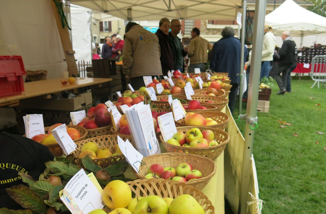 <b></b> Illustration. Pour la 34e fois, Grandvilliers va célébrer la pomme et les produits d’automne. 