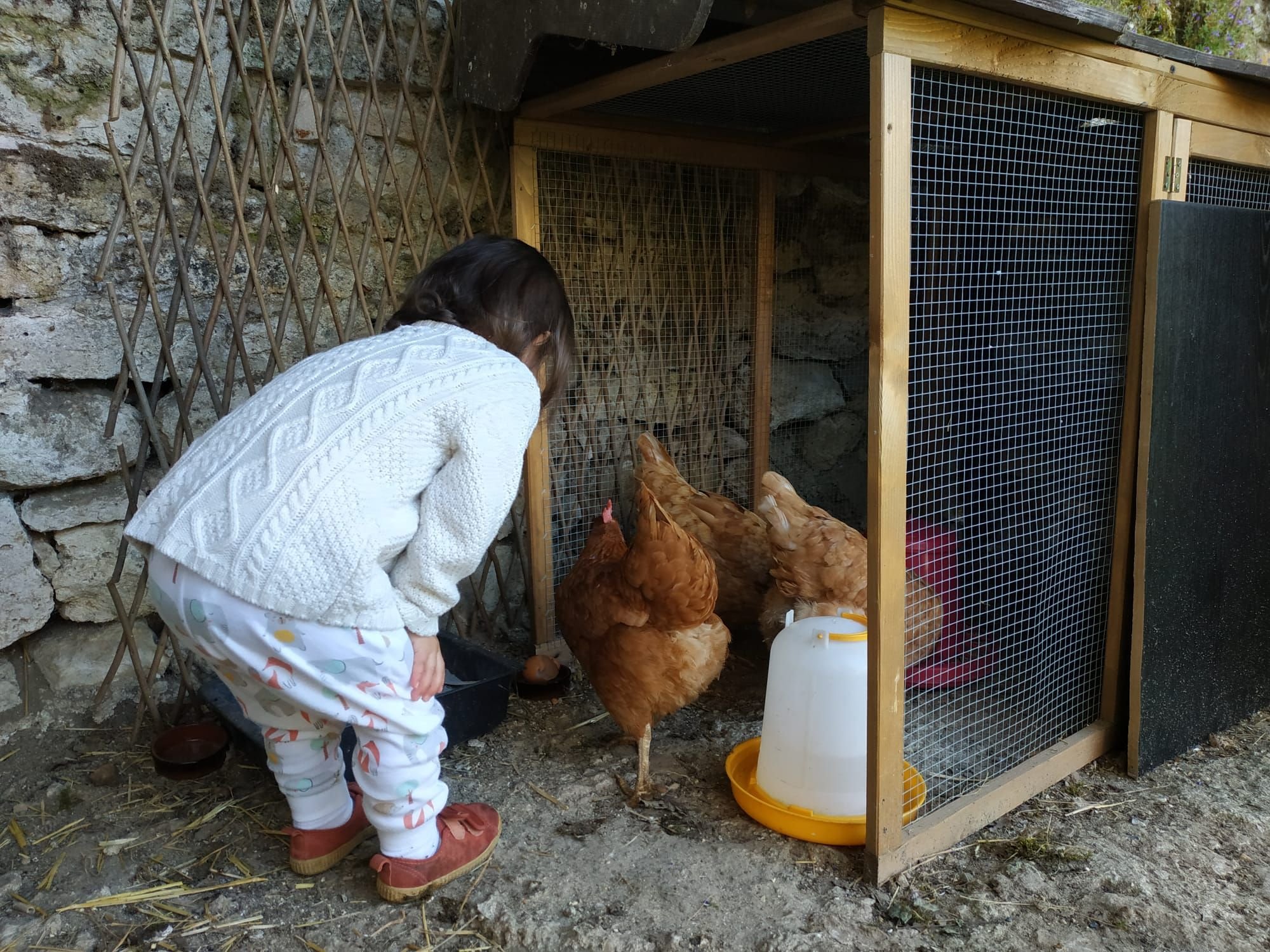 Depuis la mise en garde de l'ARS sur les œufs des poules domestiques, certains habitants ont changé leurs habitudes, notamment pour éviter d'en faire manger aux enfants. LP/Mickaël Sizine