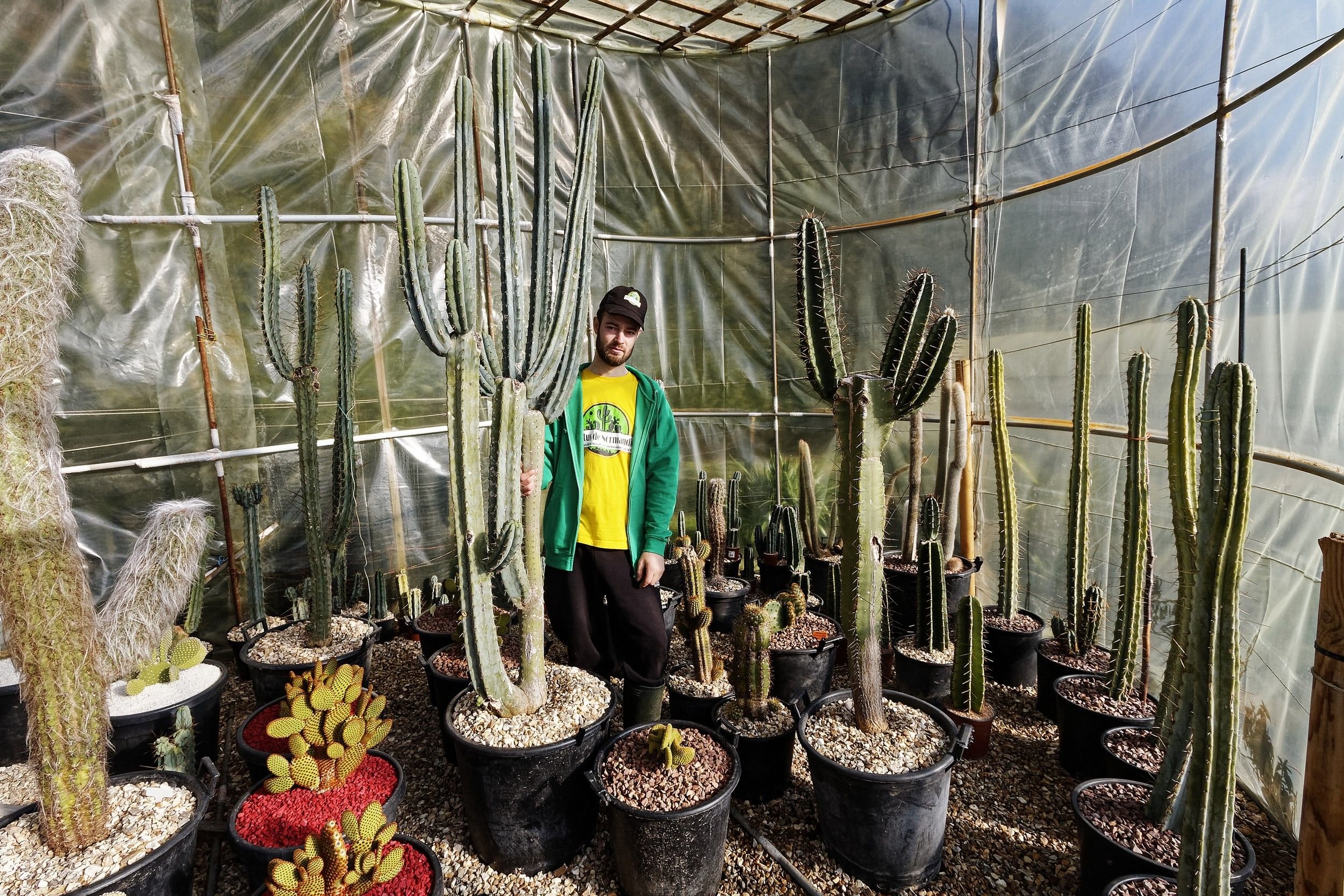 Jessy Charetiers cultive plusieurs centaines d'espèces de cactus dans son village de Courbépine . #PRESSE 30