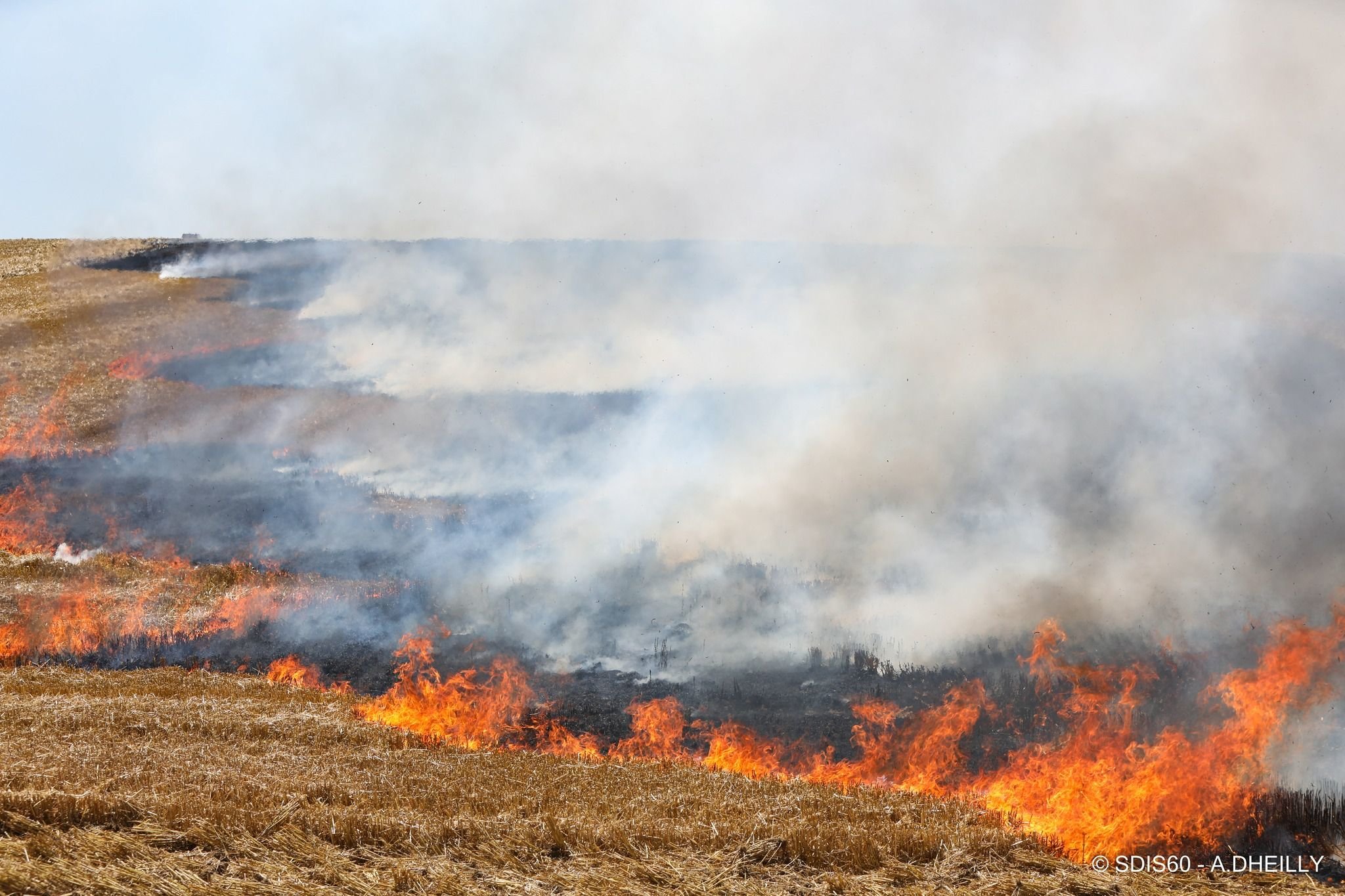 Cette année, plusieurs hectares sont déjà partis en fumée dans l'Oise (notre photo), les Yvelines et l'Essonne. Sdis 60/Aurélien Dheilly