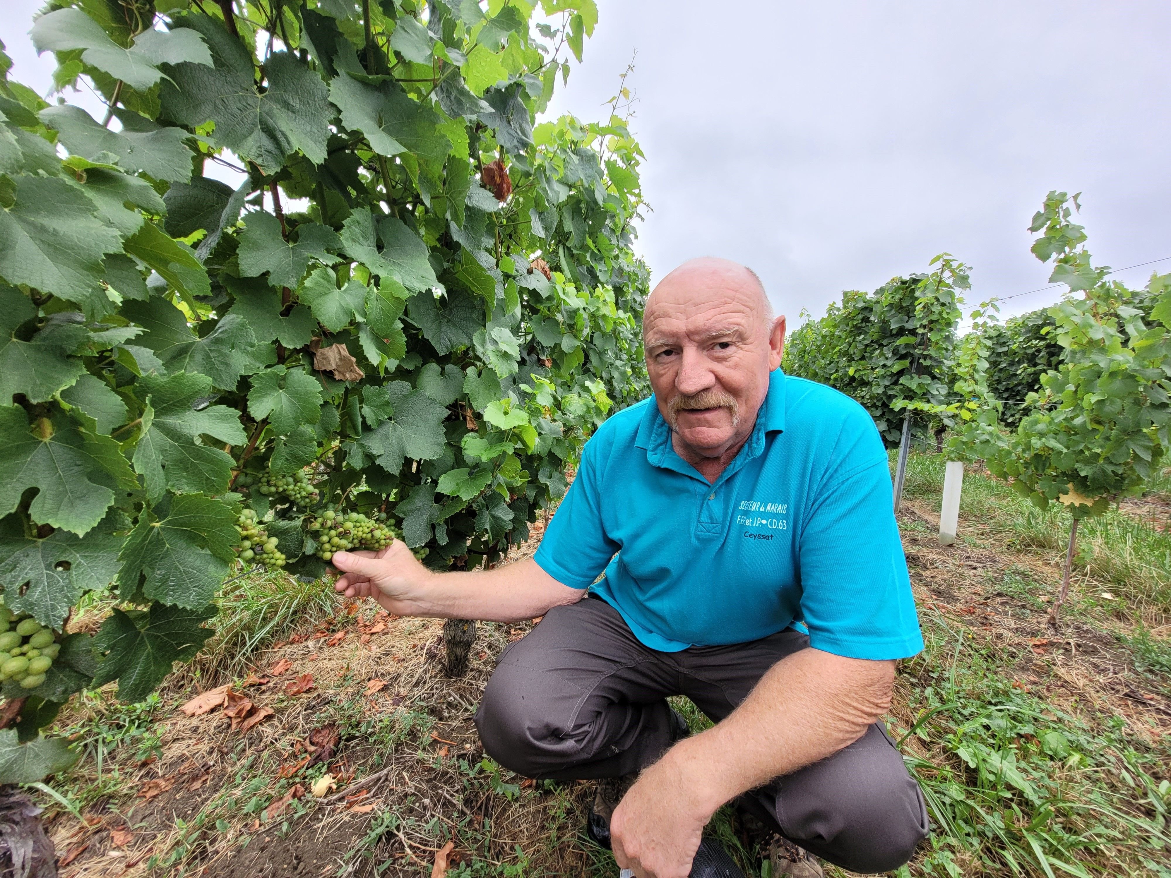 Gilles Vidal, président de l'AOC Côtes d'Auvergne, prédit une année catastrophique pour le vignoble puydômois. LP/Geneviève Colonna d'Istria