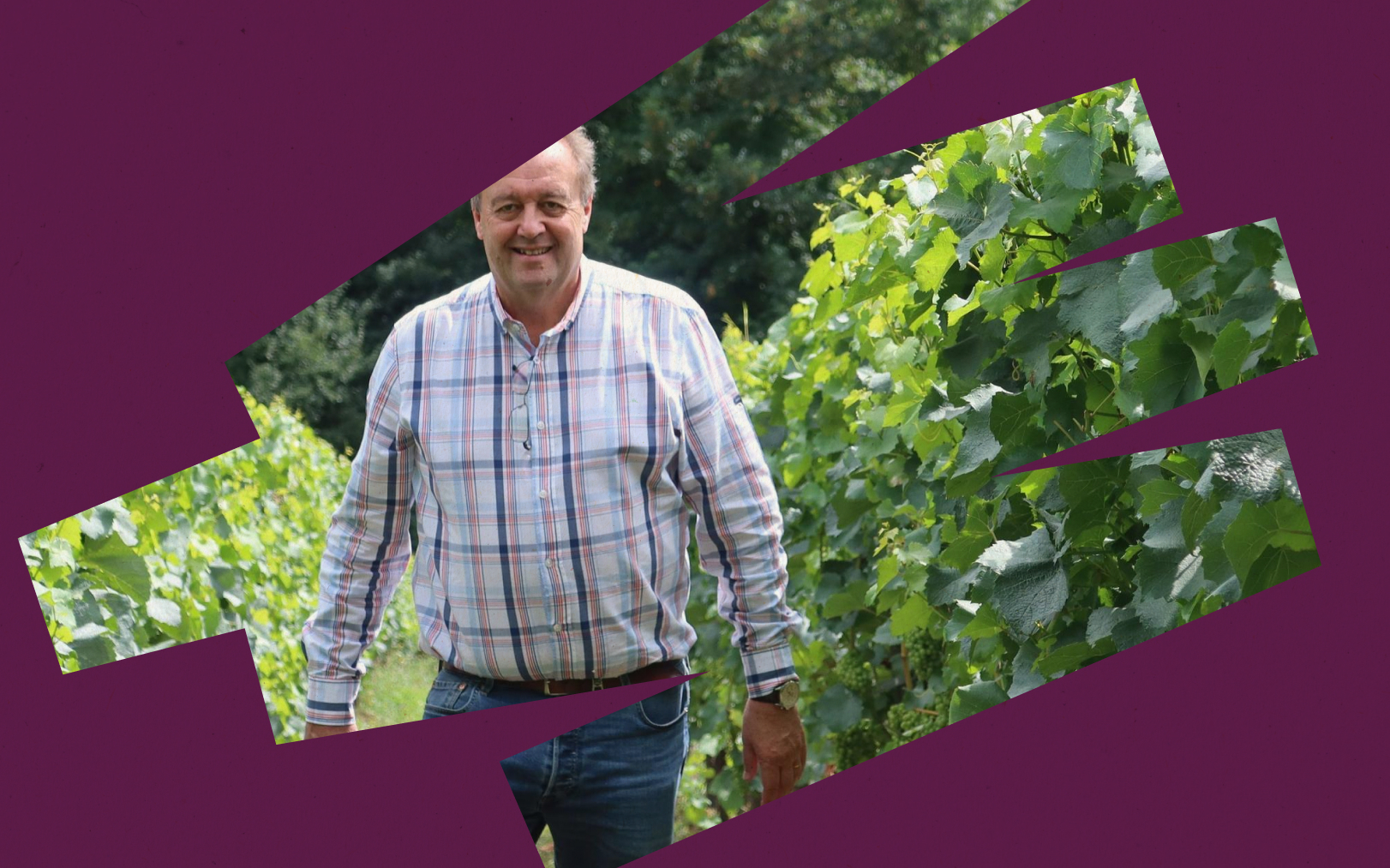 Guérard (Seine-et-Marne), 26 juillet 2023. Daniel Kiszel, 64 ans, exploite 1,7 hectare de vignes, en IGP Île-de-France depuis 2020. Le Parisien DA - LP/Sébastien Roselé