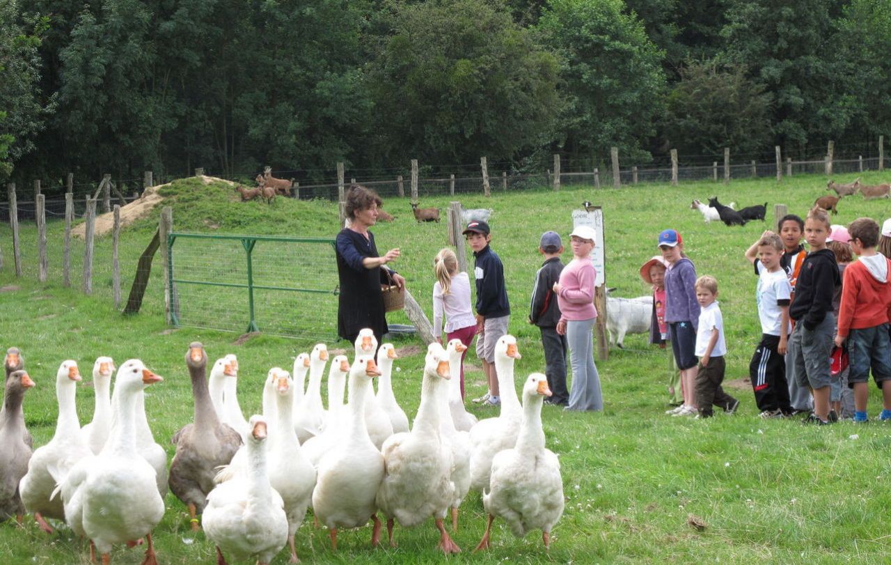 <b>Beaulieu-les-Fontaines.</b> La ferme pédagogique Che Fous d’Che bêtes organise la fête du beurre ce dimanche. 