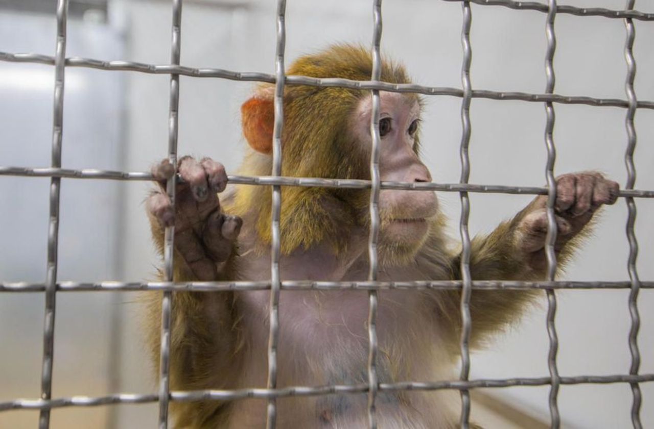 Un livre et des visites guidées au zoo refuge pour animaux