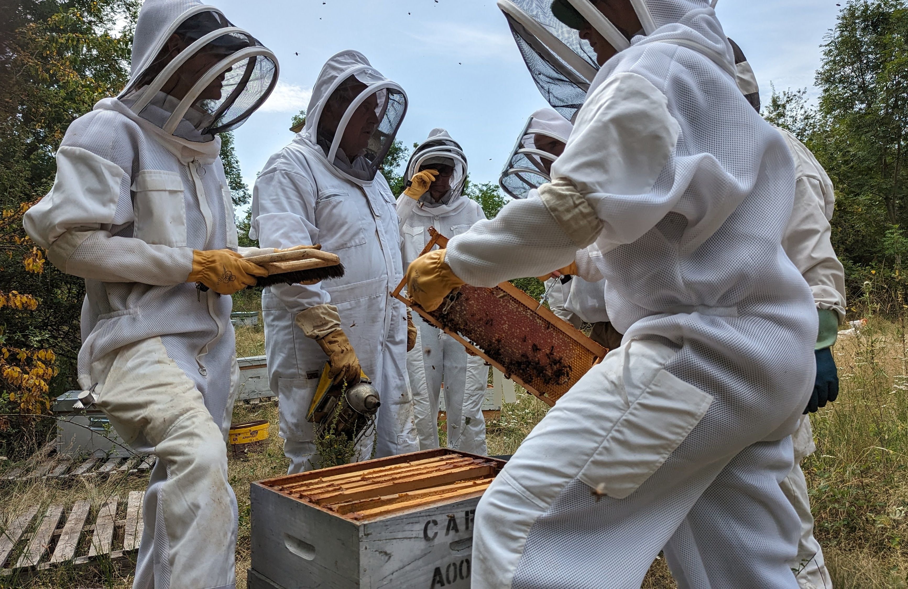 Les stagiaires du rucher-école de l’Union syndicale apicole du Roussillon (Usar) apprennent à récolter le miel. Mais la sécheresse perturbe grandement la vie des abeilles. LP/Nelly Barbé