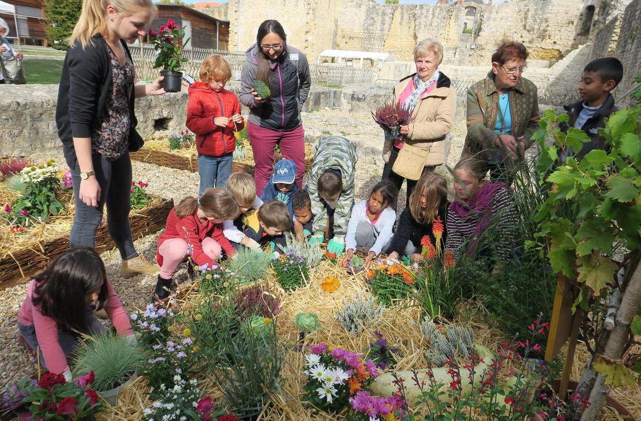 <b></b> Brie, le 3 octobre. Une quinzaine d’enfants ont réalisé des compositions florales avec l’aide du club CPN et des services municipaux dans la cour du château, mercredi après-midi, en prélude des Médiévales. 