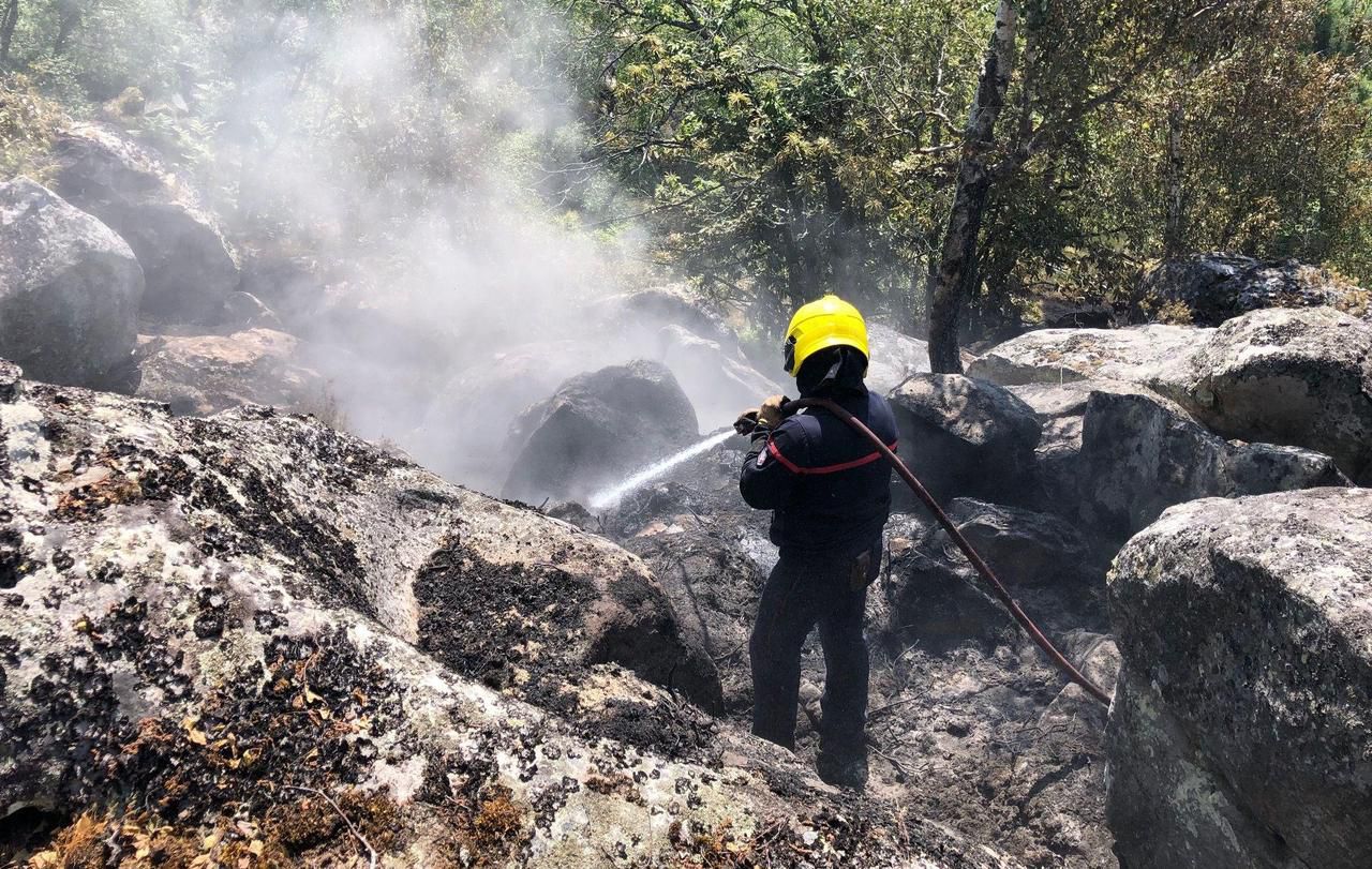 <b></b> Massif des Trois Pigons, ce mercredi. Les pompiers et les techniciens de l'ONF étaient encore sur place mercredi matin dans le massif des Trois Pignons, à Milly-la-Forêt.