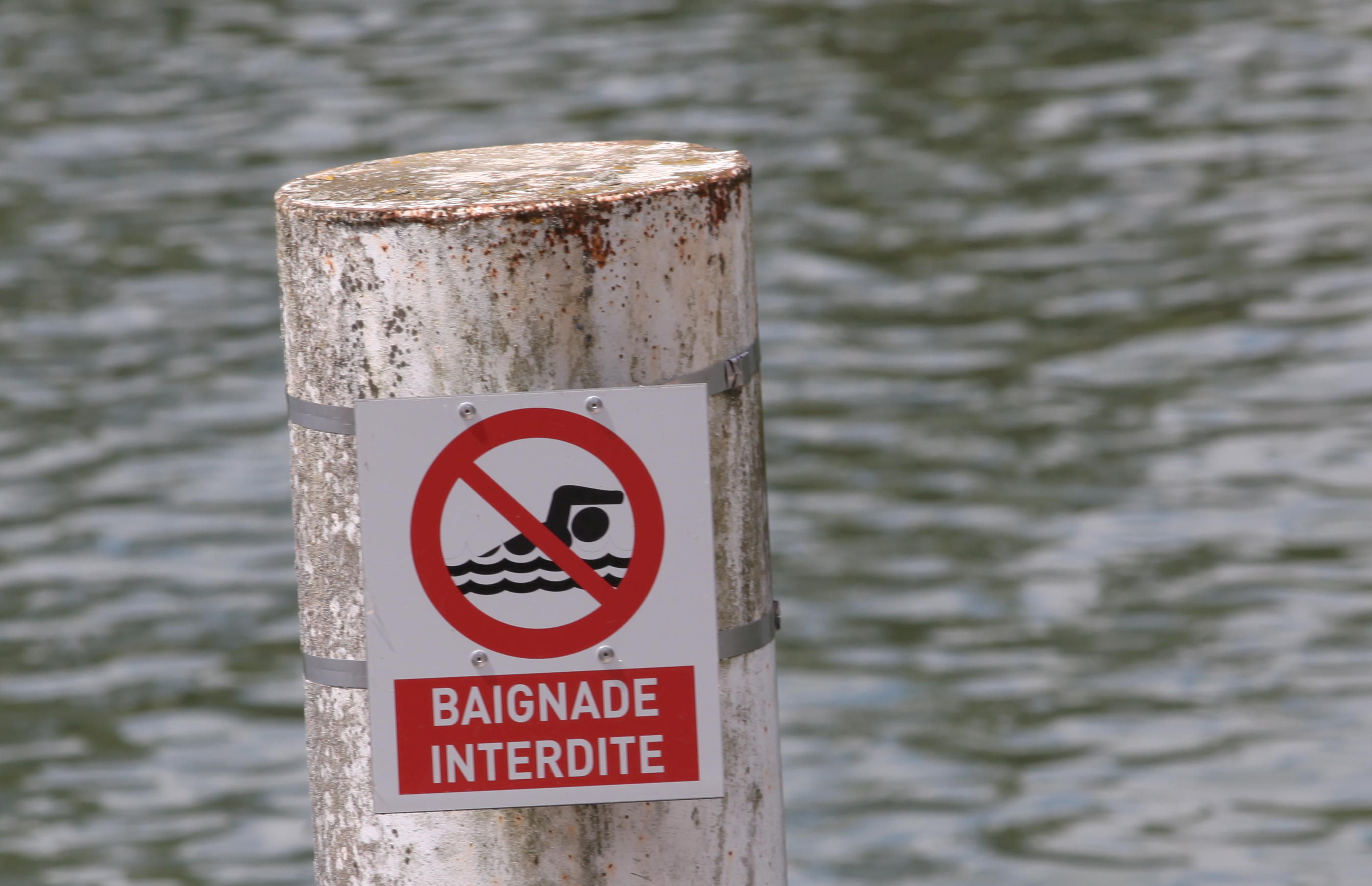La baignade sera interdite au large de La Turballe, a annoncé la préfecture de Loire-Atlantique. LP/Olivier Boitet
