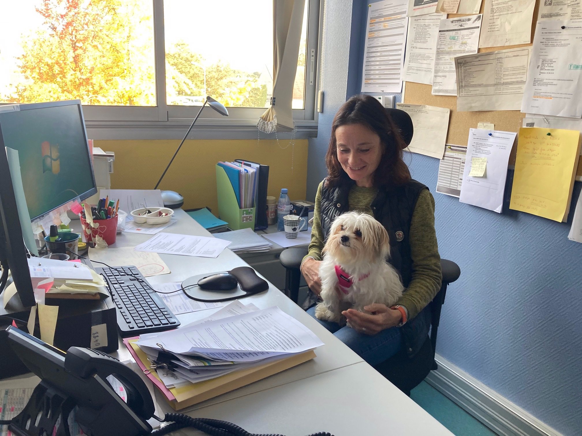 Employée au service finances à la mairie de Fleury-Les-Aubrais, Christine vient désormais au bureau avec sa petite chienne Anja./LP/Christine Berkovicius