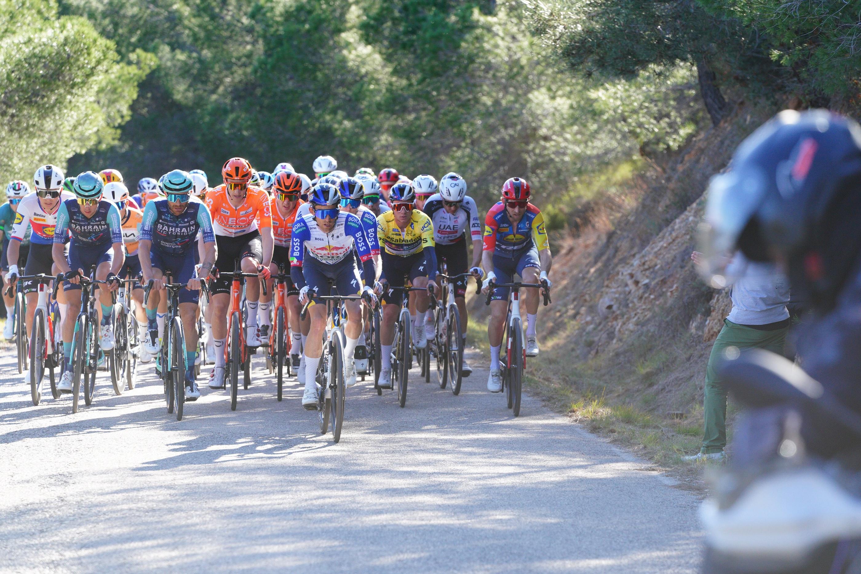 Autocollant de cyclisme - France