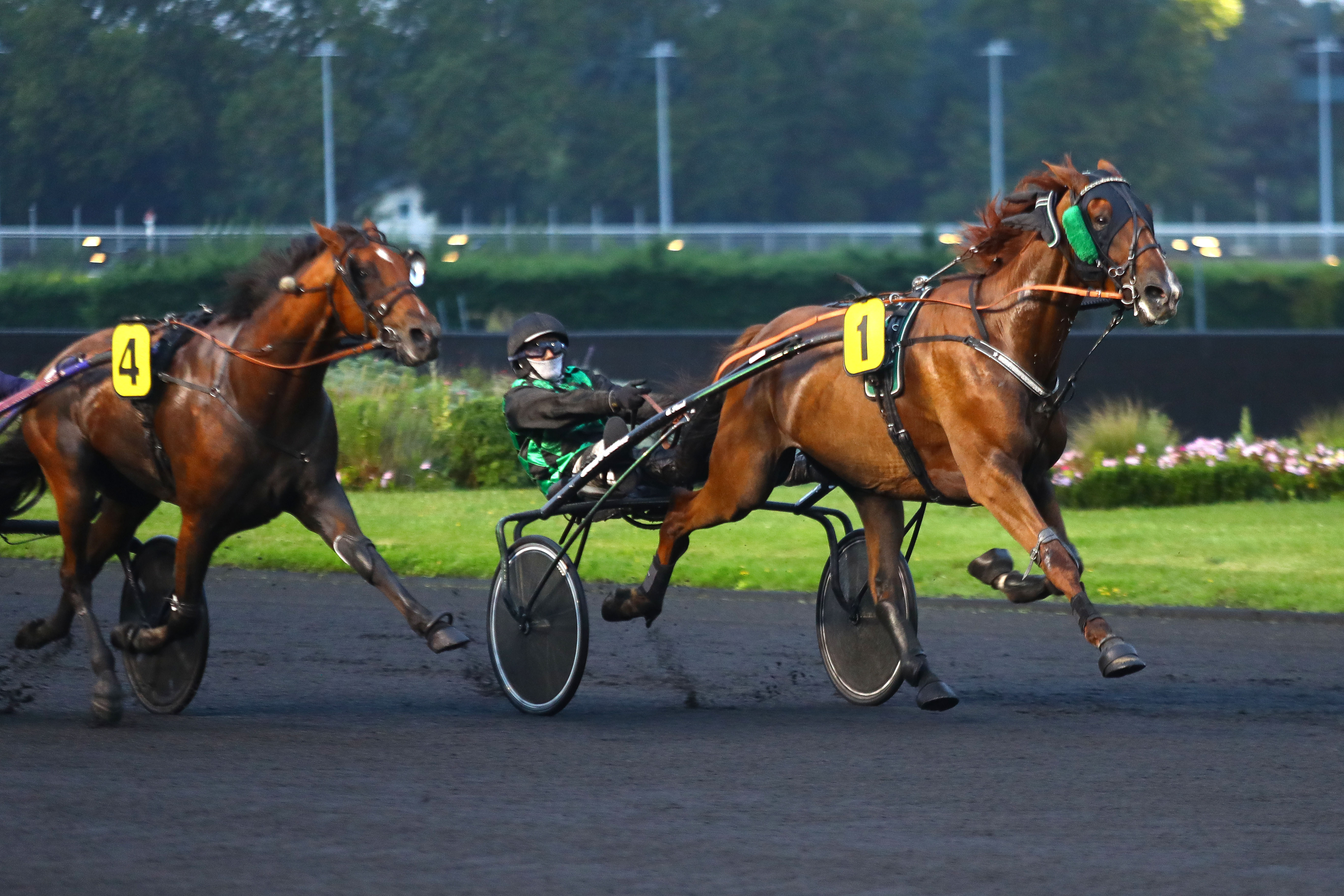 ParisVincennes (XIIe), le 30 Août 2024. Helios Djema (n° 1) se montre le plus fort pour remporter le premier succès de sa carrière dans le temple du trot qu'il découvrait. SCOOPDYGA - CHOURAQUI Elliott