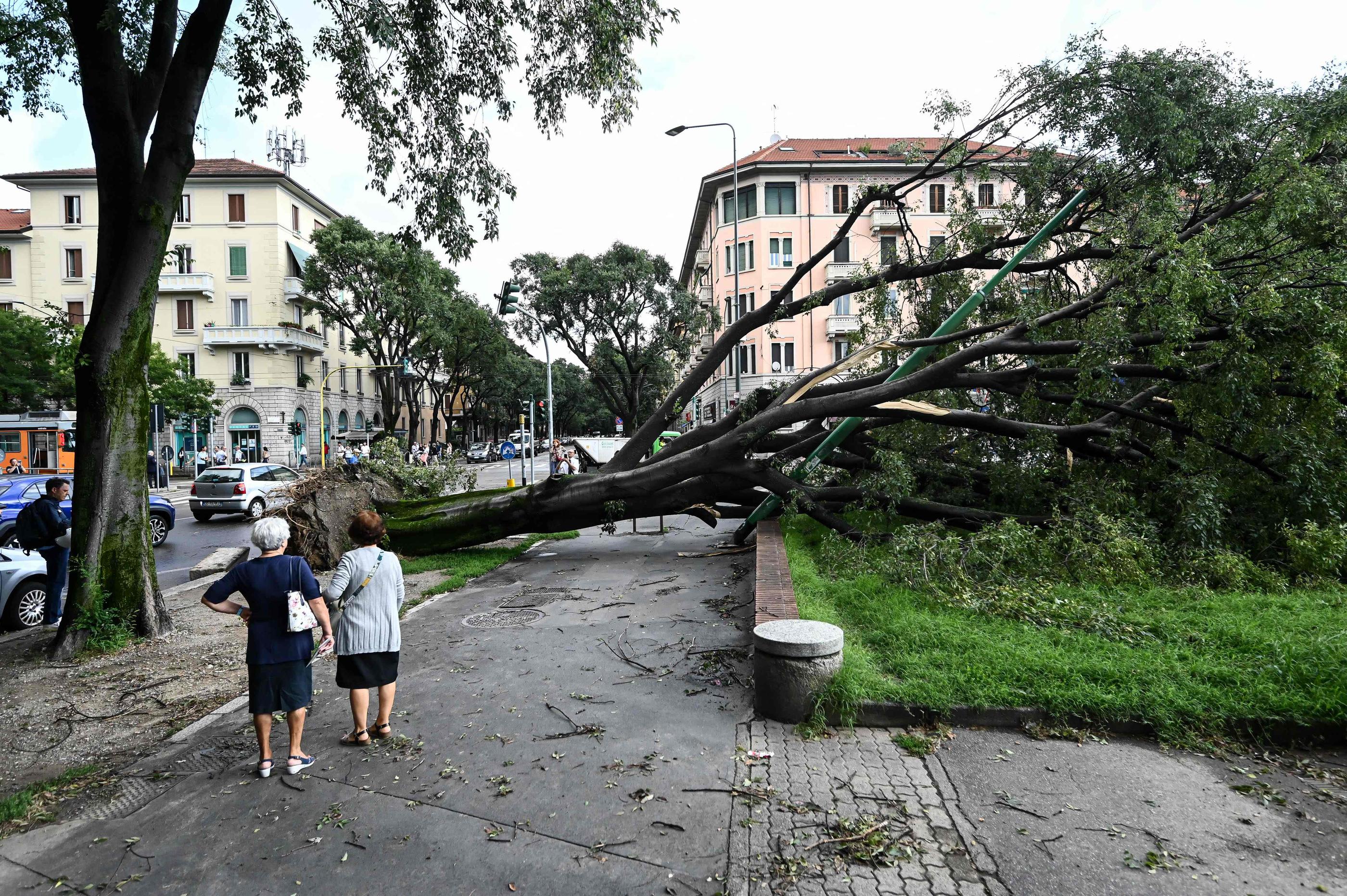 La tempête qui a frappé Milan mardi à l'aube a arraché plusieurs arbres, donnant à la ville lombarde des airs de forêt vierge. AFP/Piero CRUCIATTI