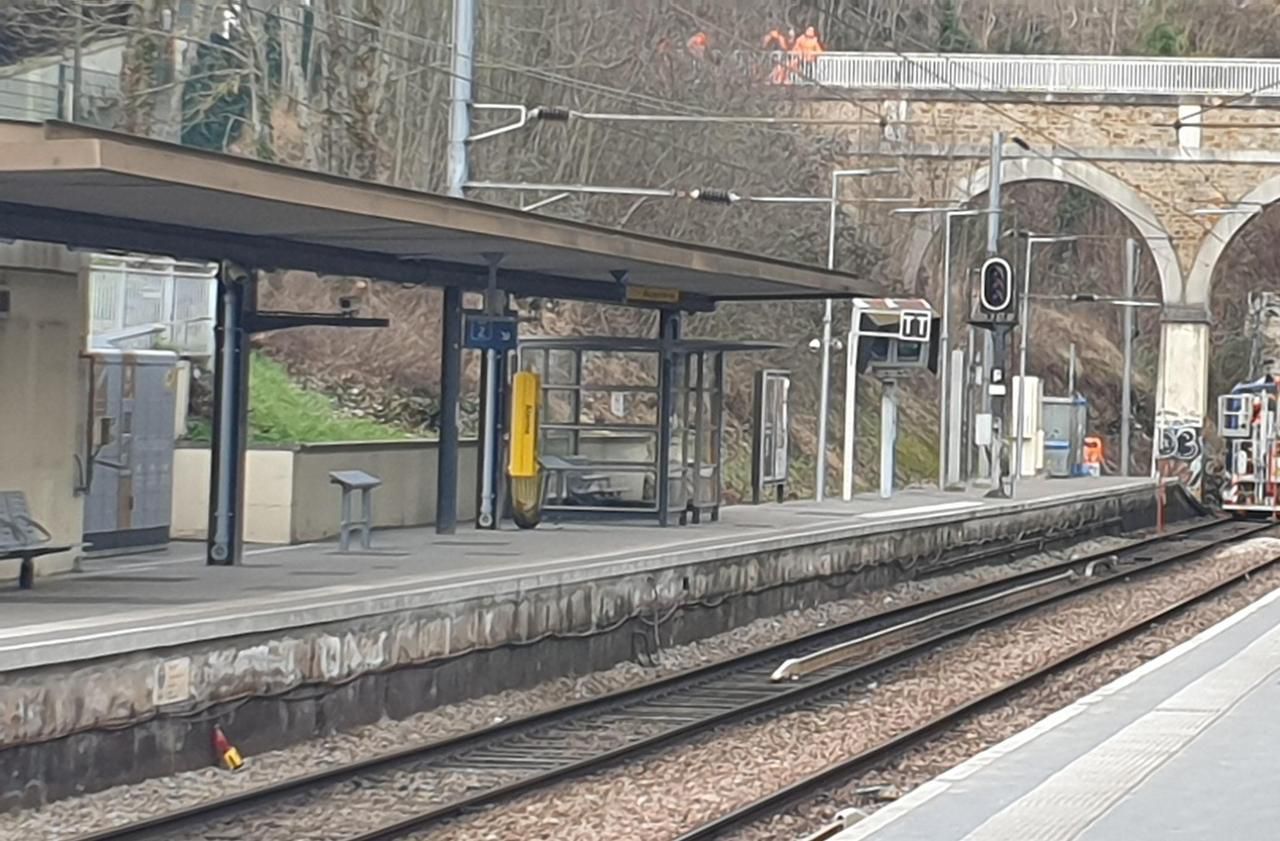 <b></b> Sèvres, le 5 février. Les trains pourraient à nouveau circuler - partiellement et sur une seule voie -, à partir de début mars. Le trafic ne sera entièrement rétabli qu’en avril, selon les dernières prévisions.