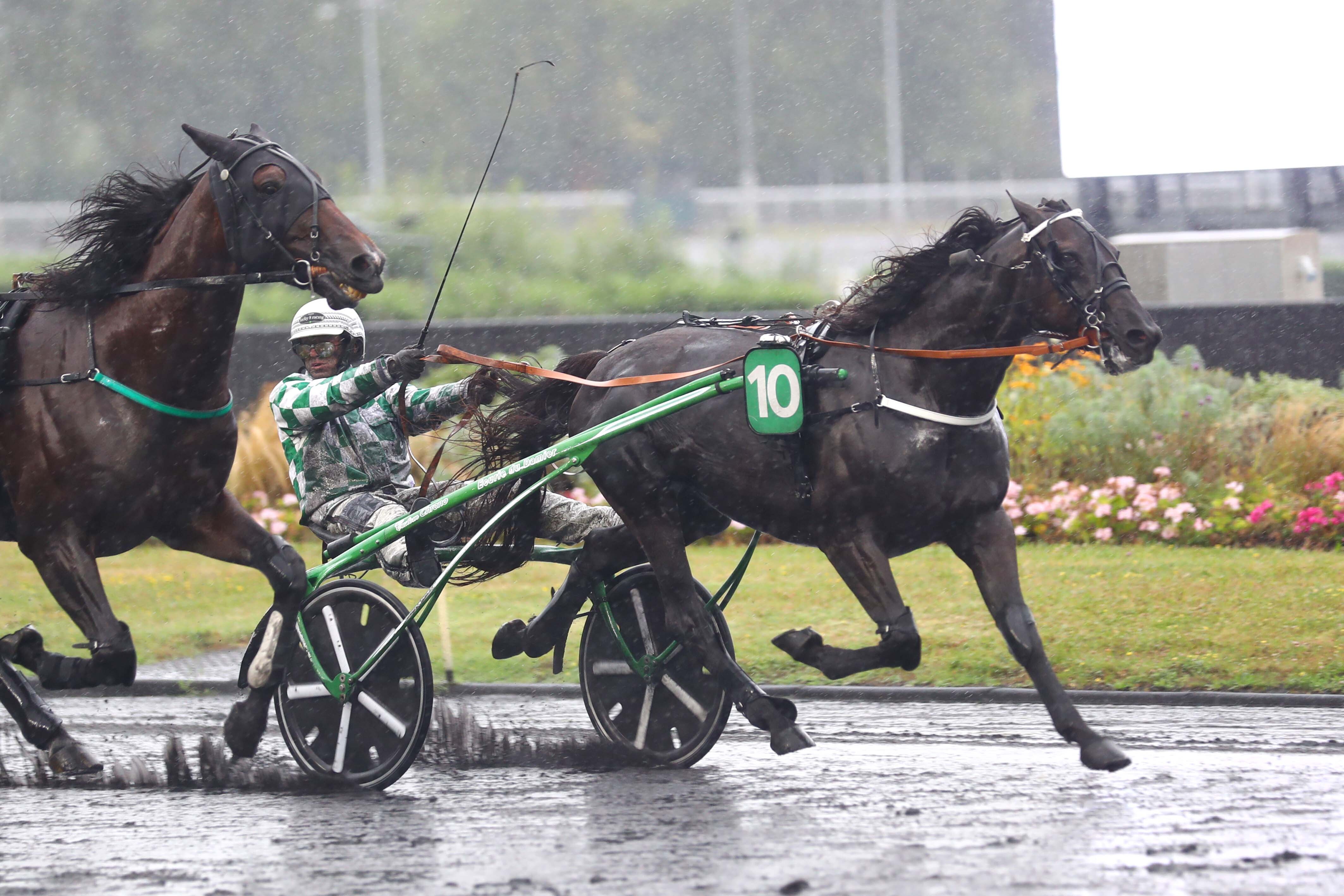 ParisVincennes (XIIe), le 17 Août 2024. Justin Bold contient le retour de Jushua Tree pour s'octroyer le Prix Louis Jarié (Groupe II), première épreuve qualificative au Critérium des 5 ans. SCOOPDYGA - LABROSSE Brad