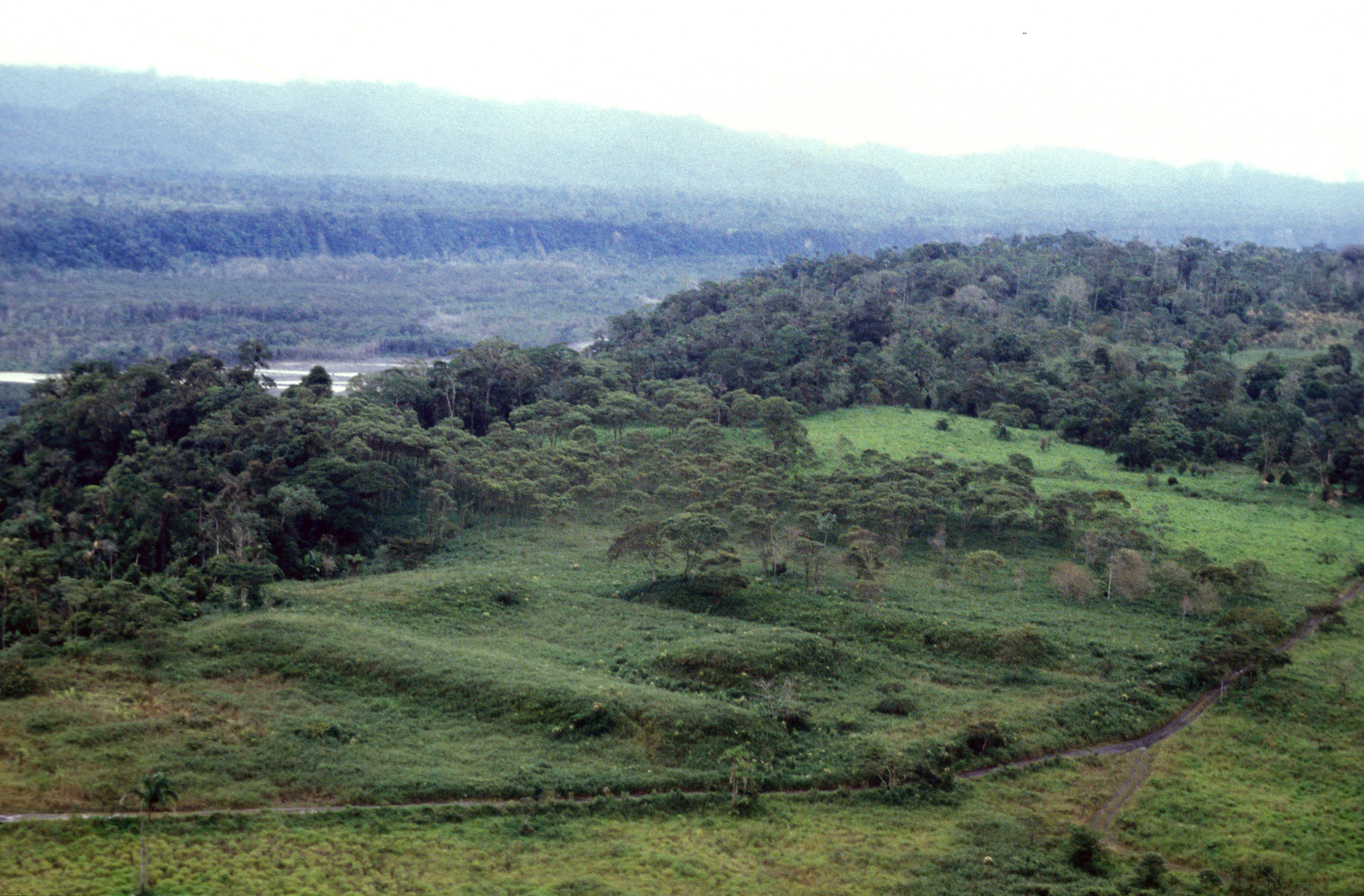 Dans la vallée de l'Upano, en Équateur, ces plates-formes en terre pour la plupart rectangulaires, sont bien d'origine humaine. Les chercheurs ont dénombré plus de 6000 structures. Stéphen Rostain