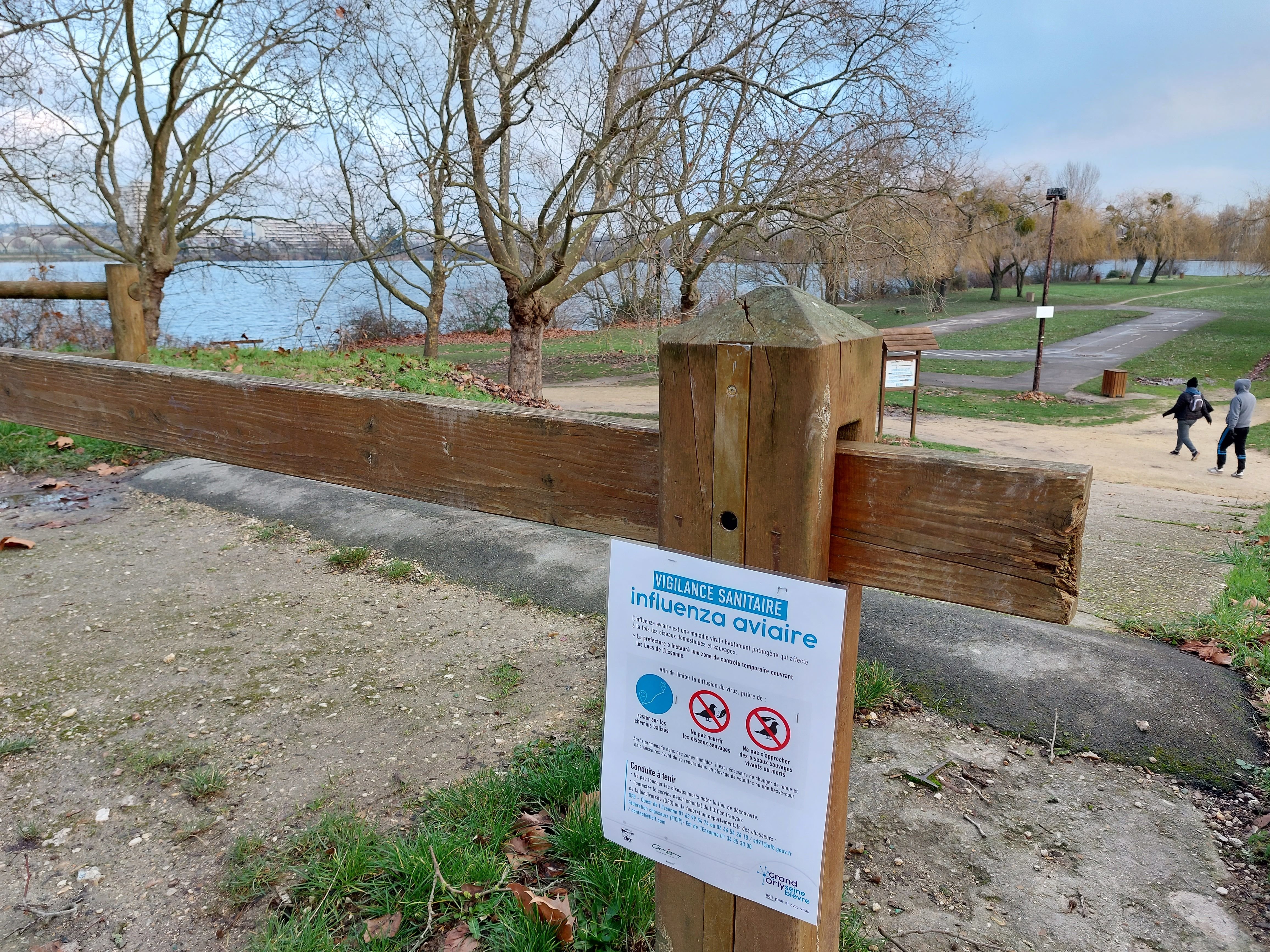 Viry-Chatillon, le 21 janvier 2023. Des oiseaux morts atteints de grippe aviaire ont été retrouvés au bord du lacs. Des affiches incitent les promeneurs à la prudence et rappellent les consignes de prudence à adopter. LP/Cécile Chevallier